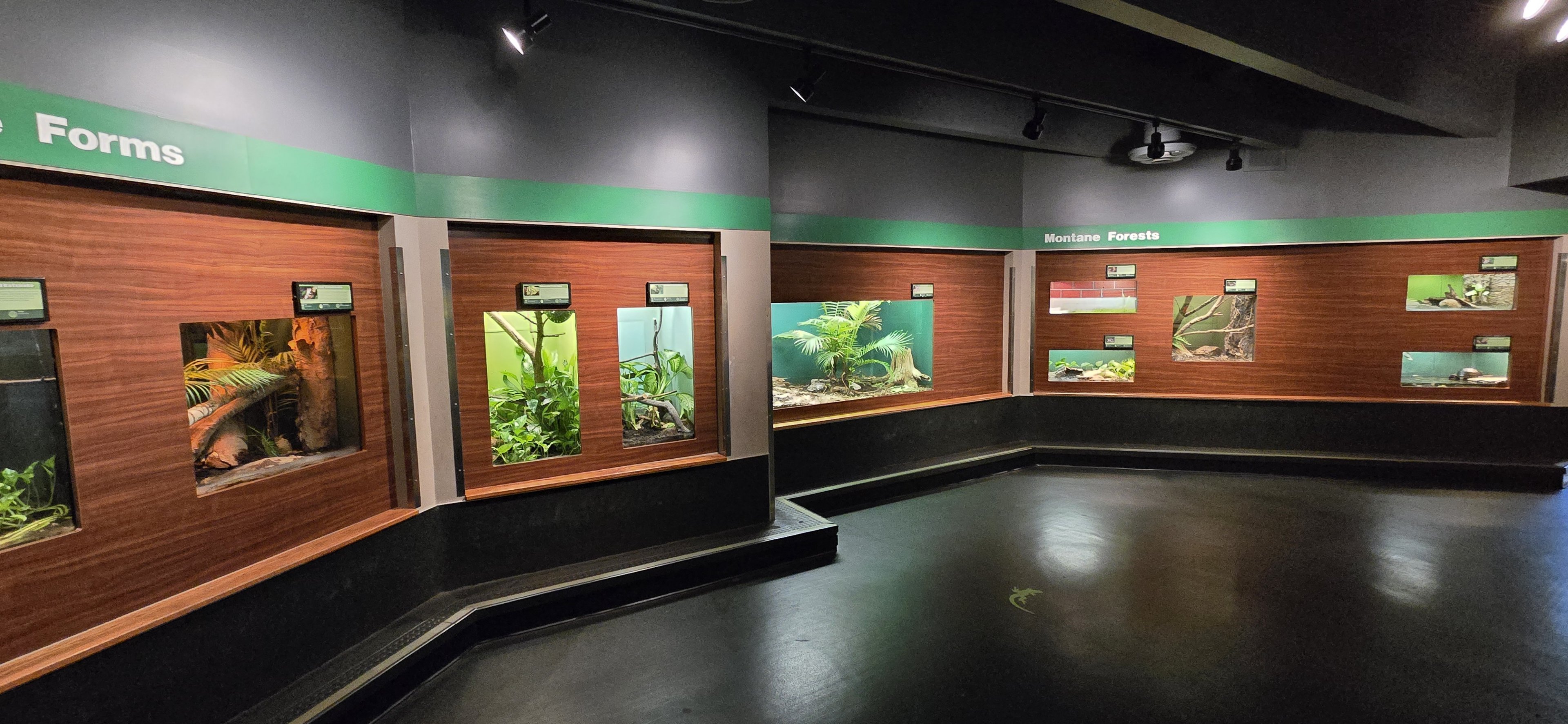 Herpaquarium - Gallery view