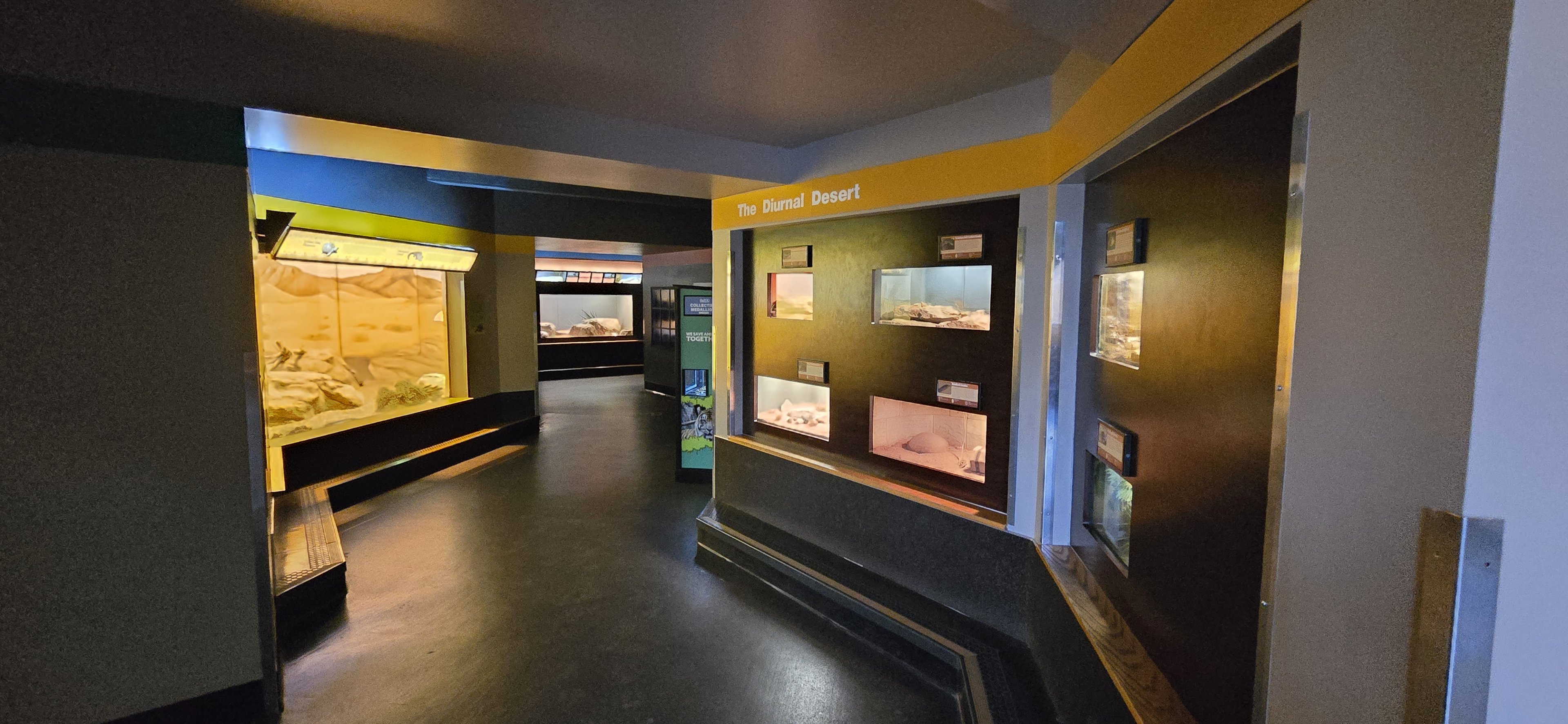 Herpaquarium - Gallery view