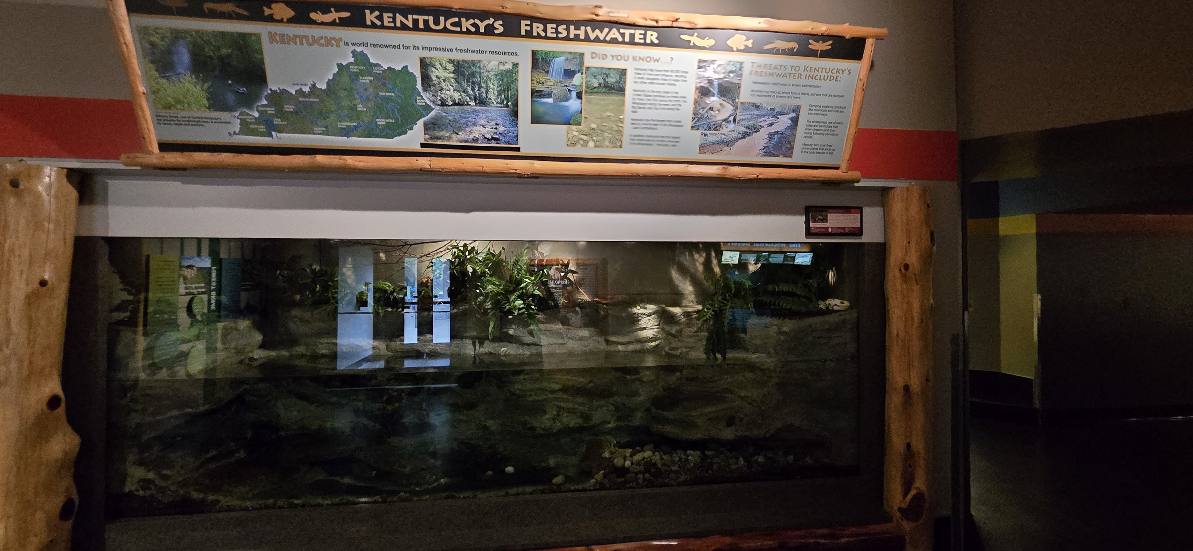 Herpaquarium - Hellbender