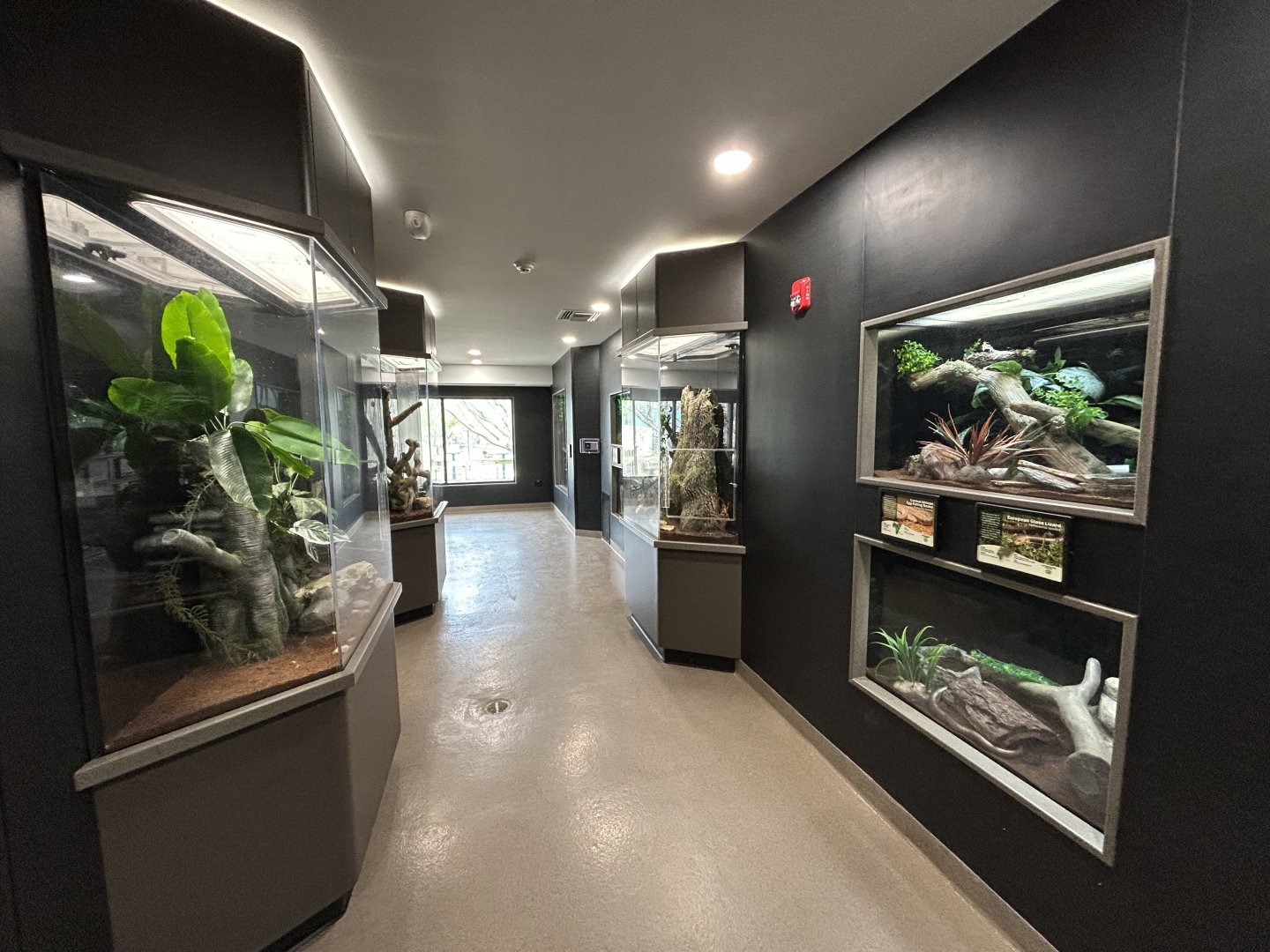 Herpaquarium Overview
