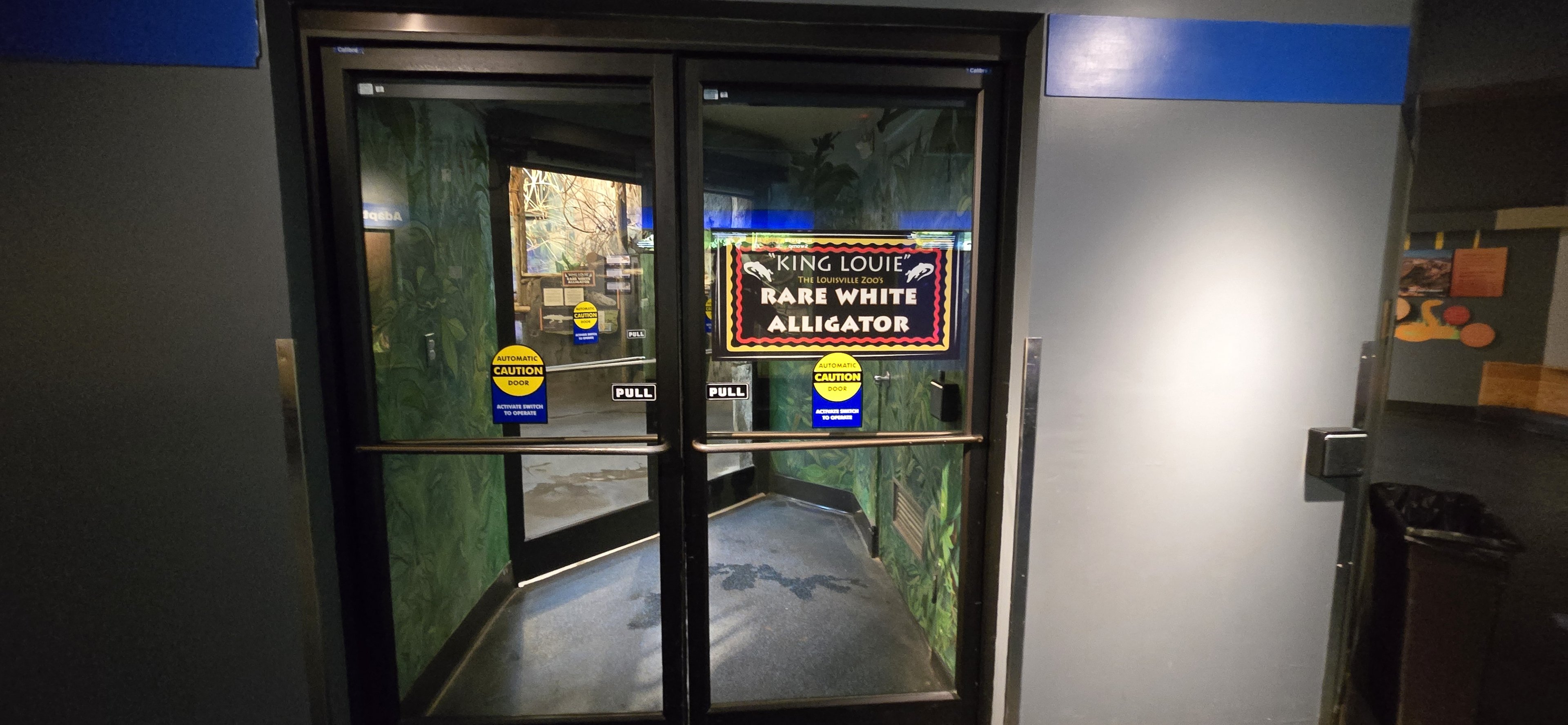 Herpaquarium - White alligator area