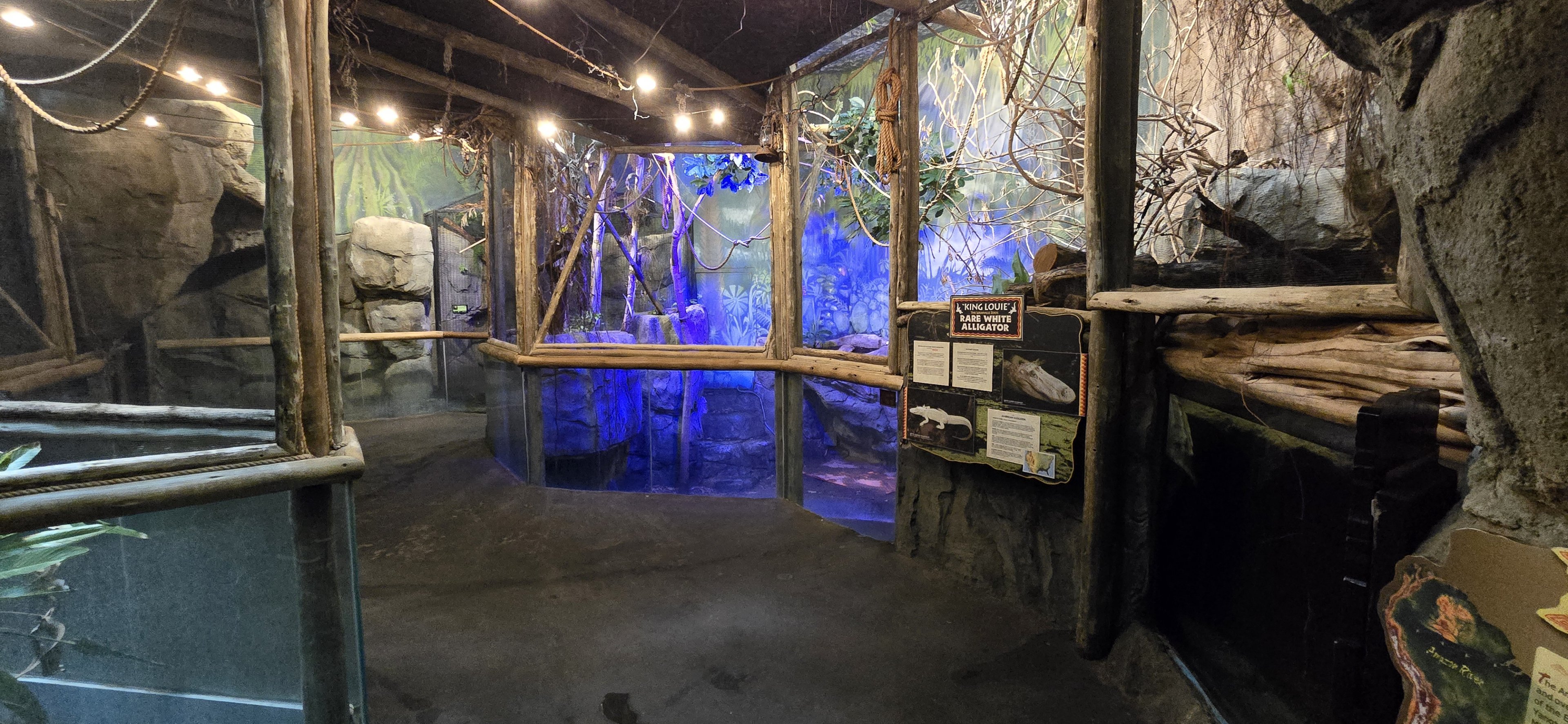 Herpaquarium - White alligator area