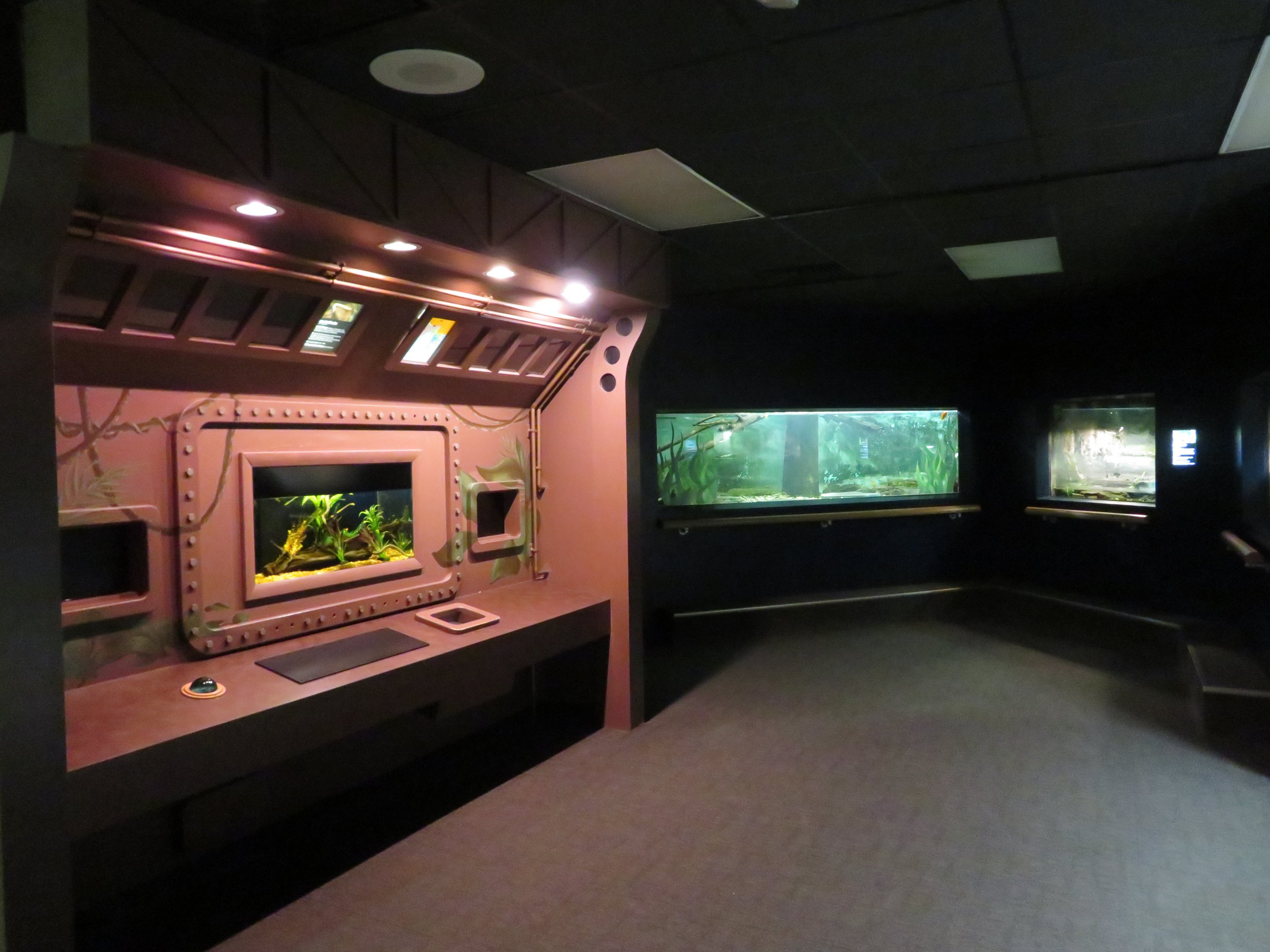 Herpetarium - Aquatic Room