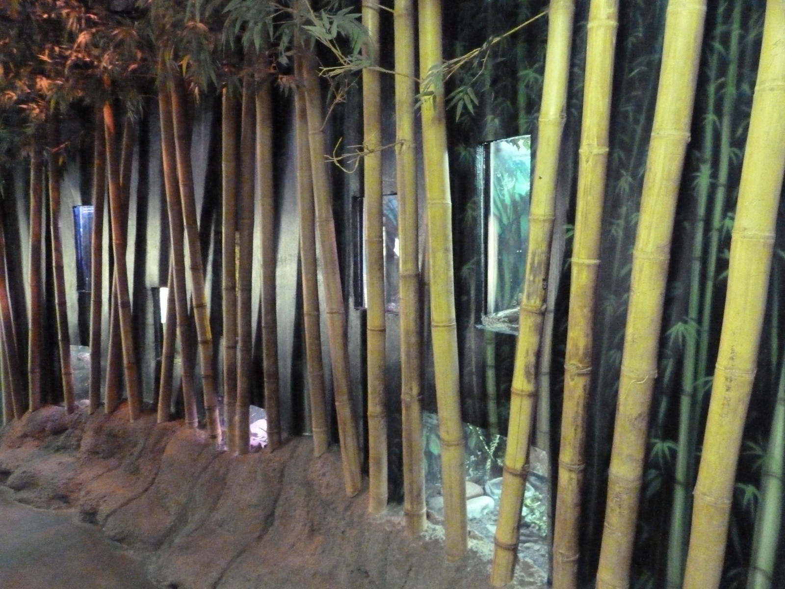 Herpetarium - Bamboo Wall