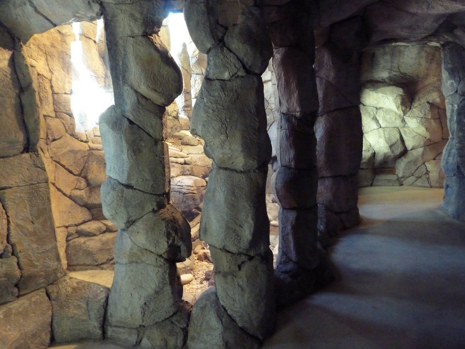 Herpetarium - Desert Dwellers