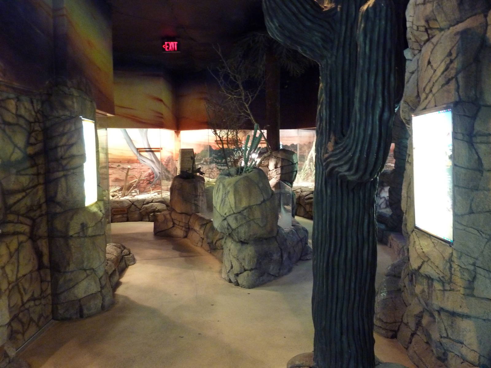 Herpetarium - Desert Dwellers