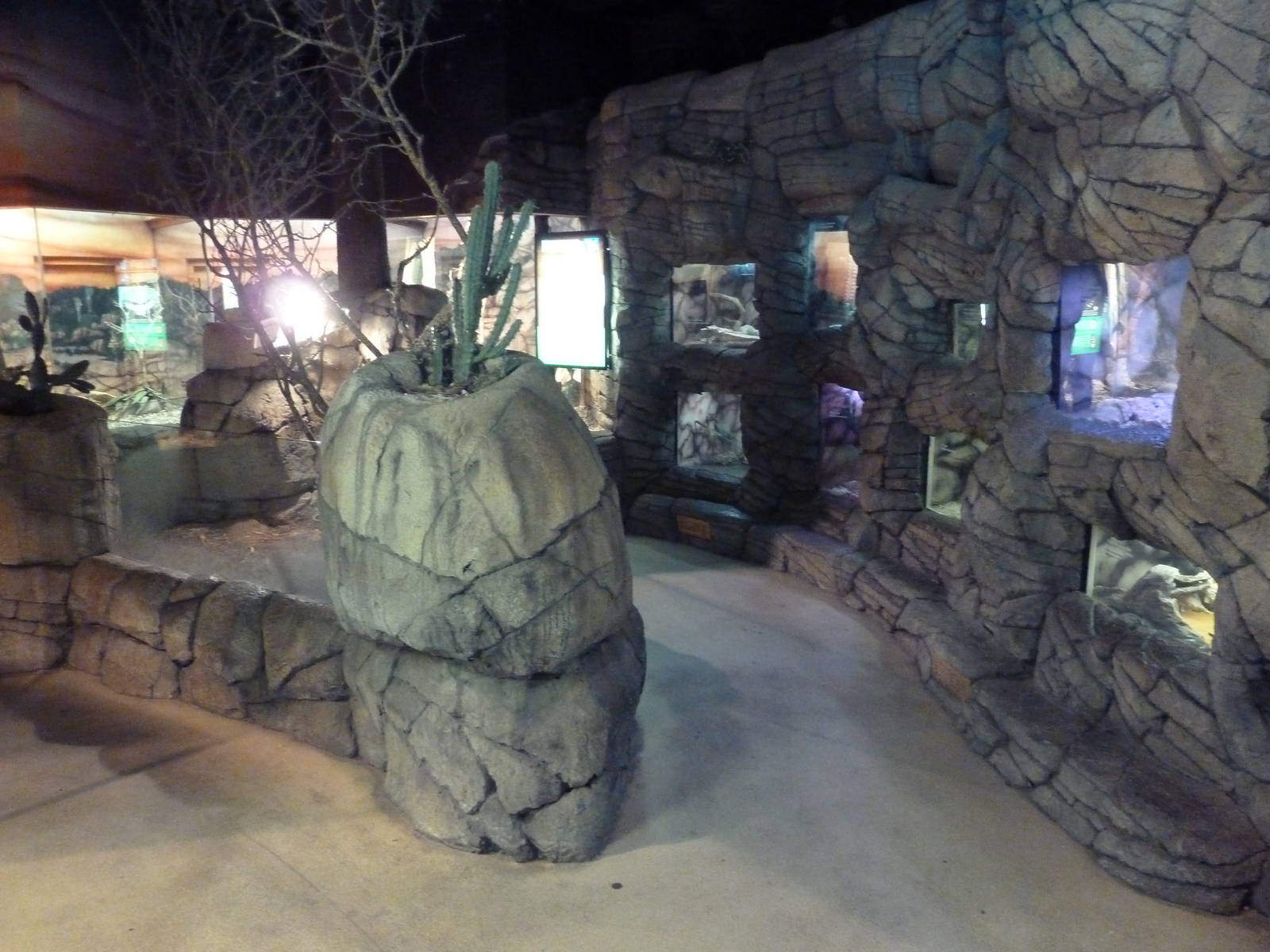 Herpetarium - Desert Dwellers