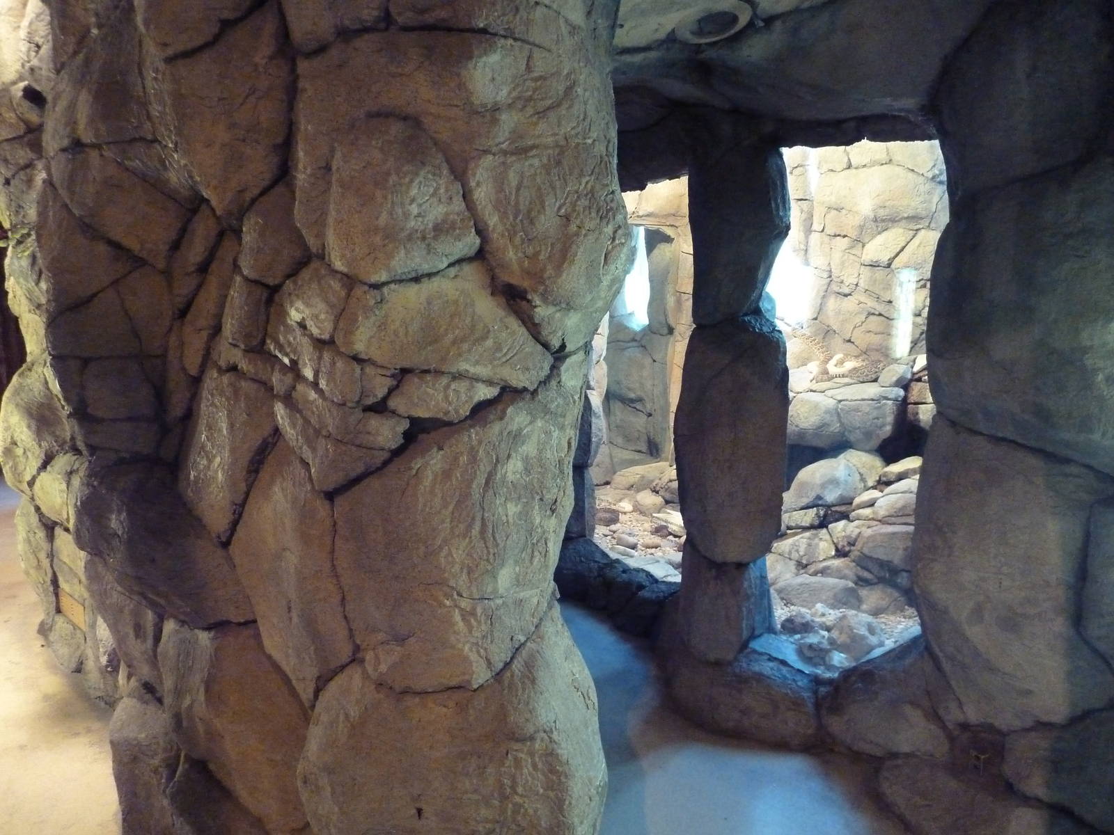 Herpetarium - Desert Dwellers