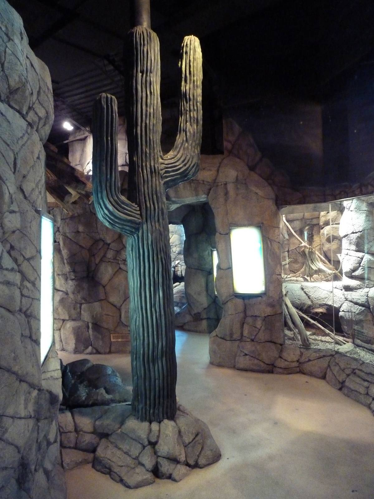 Herpetarium - Desert Dwellers