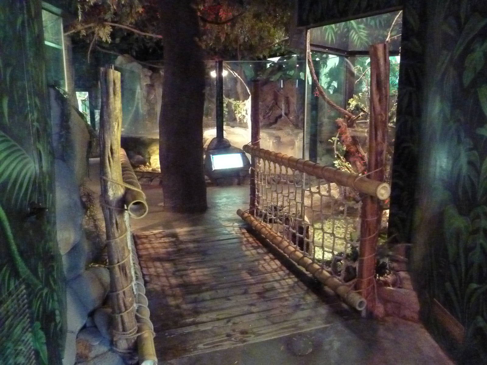 Herpetarium - Entrance Area