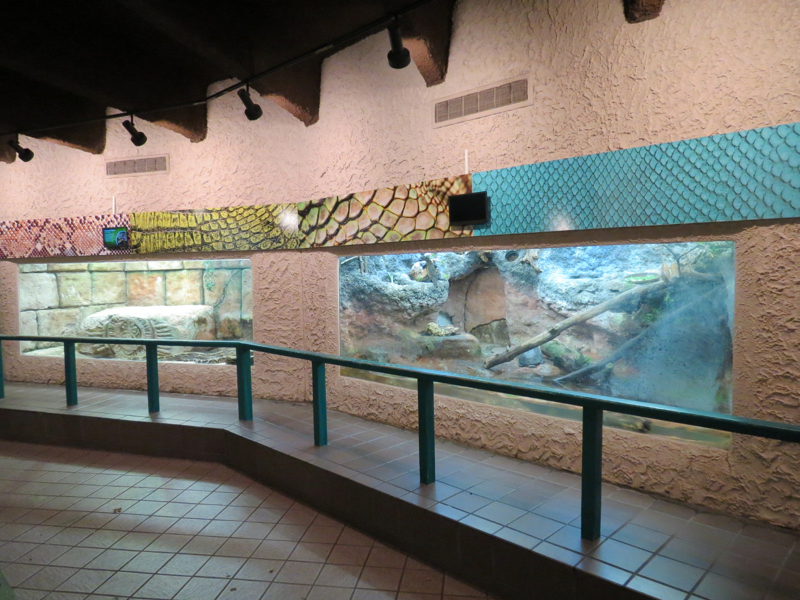 Herpetarium - Interior