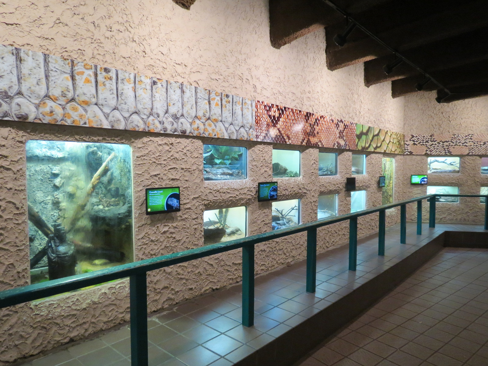 Herpetarium - Interior