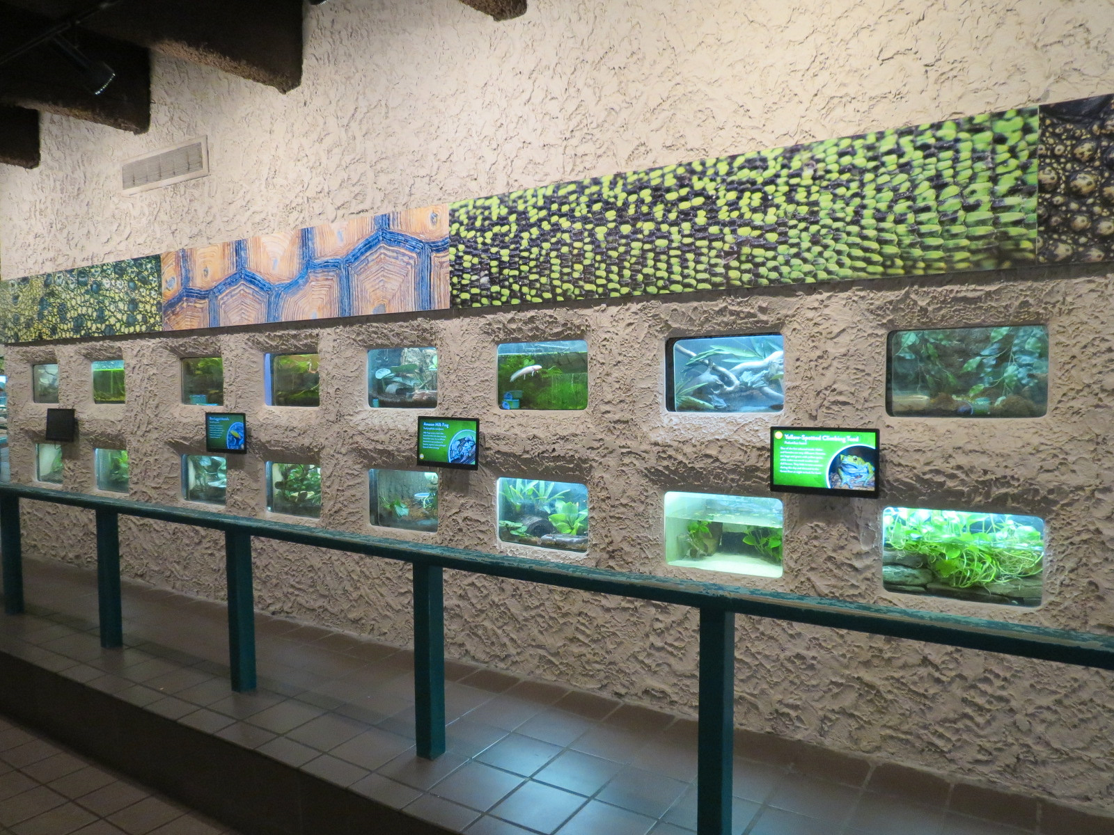 Herpetarium - Interior