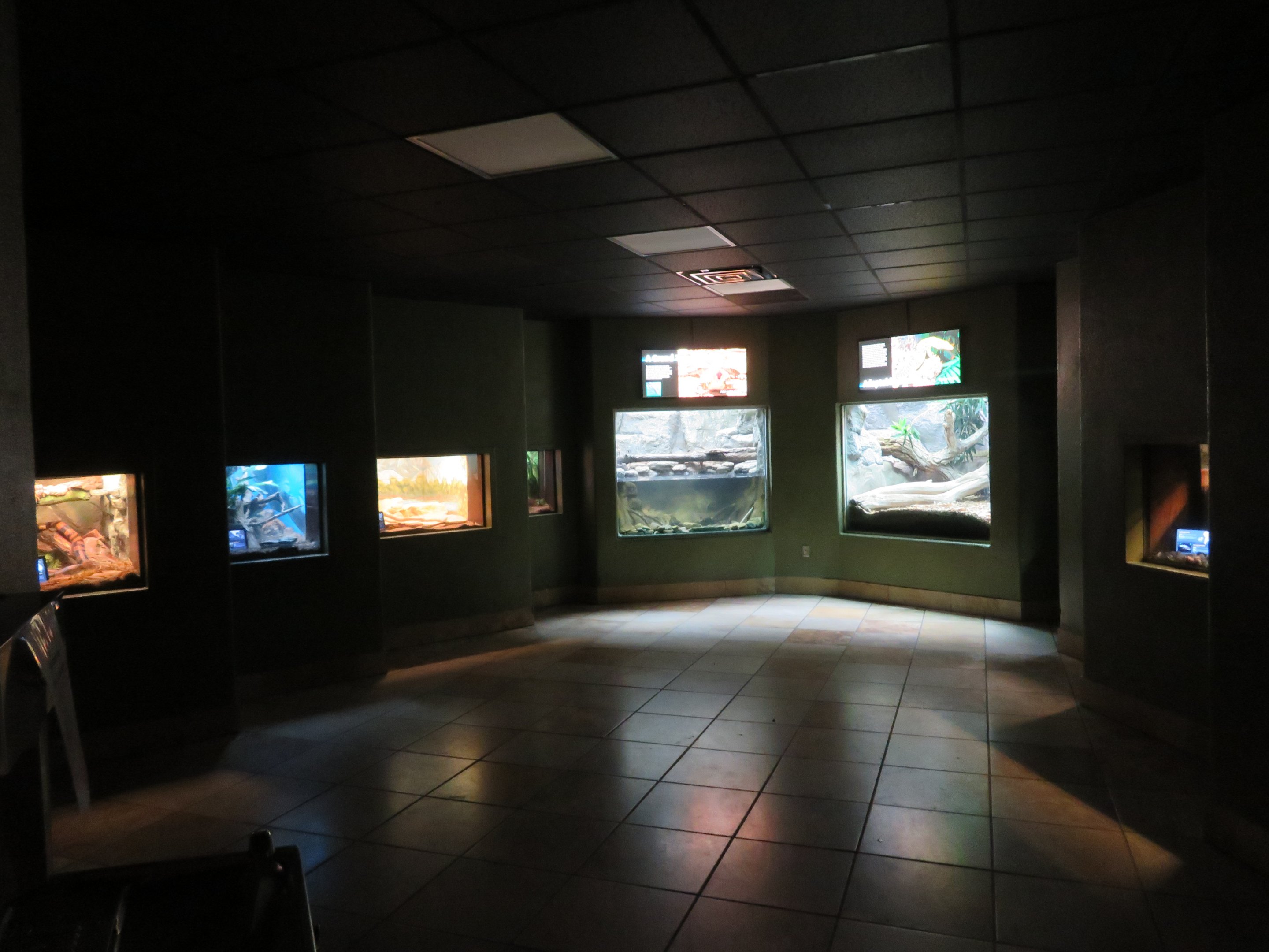 Herpetarium Interior