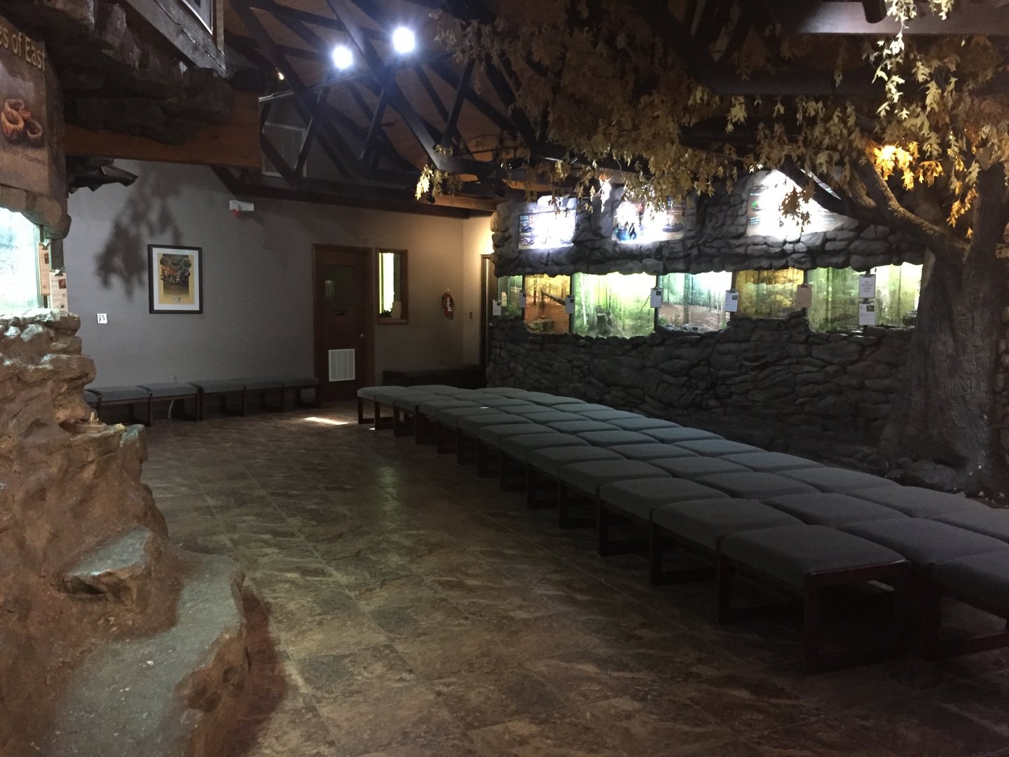 Herpetarium Interior