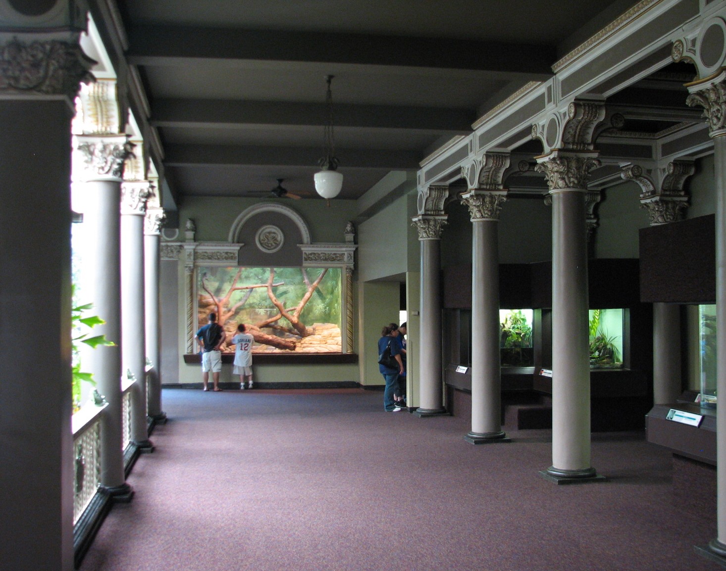 Herpetarium - Interior