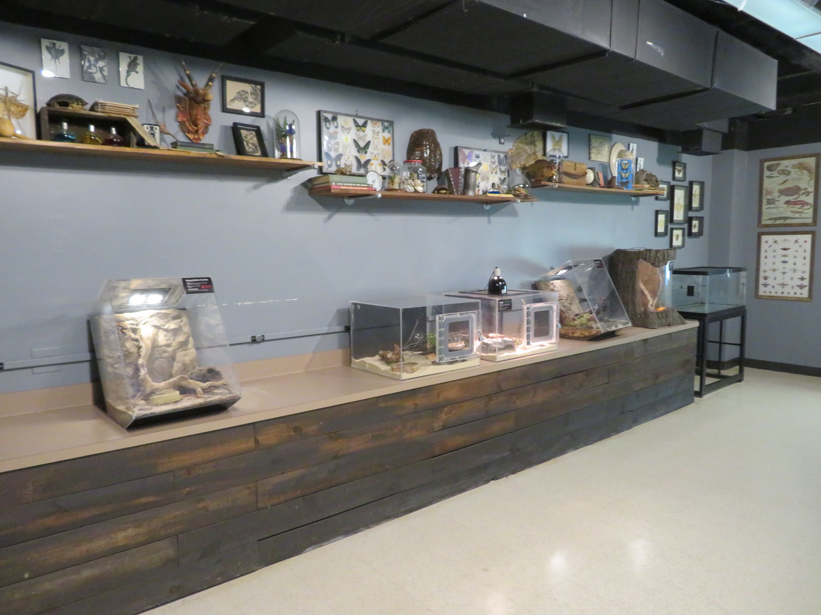 Herpetarium Lab