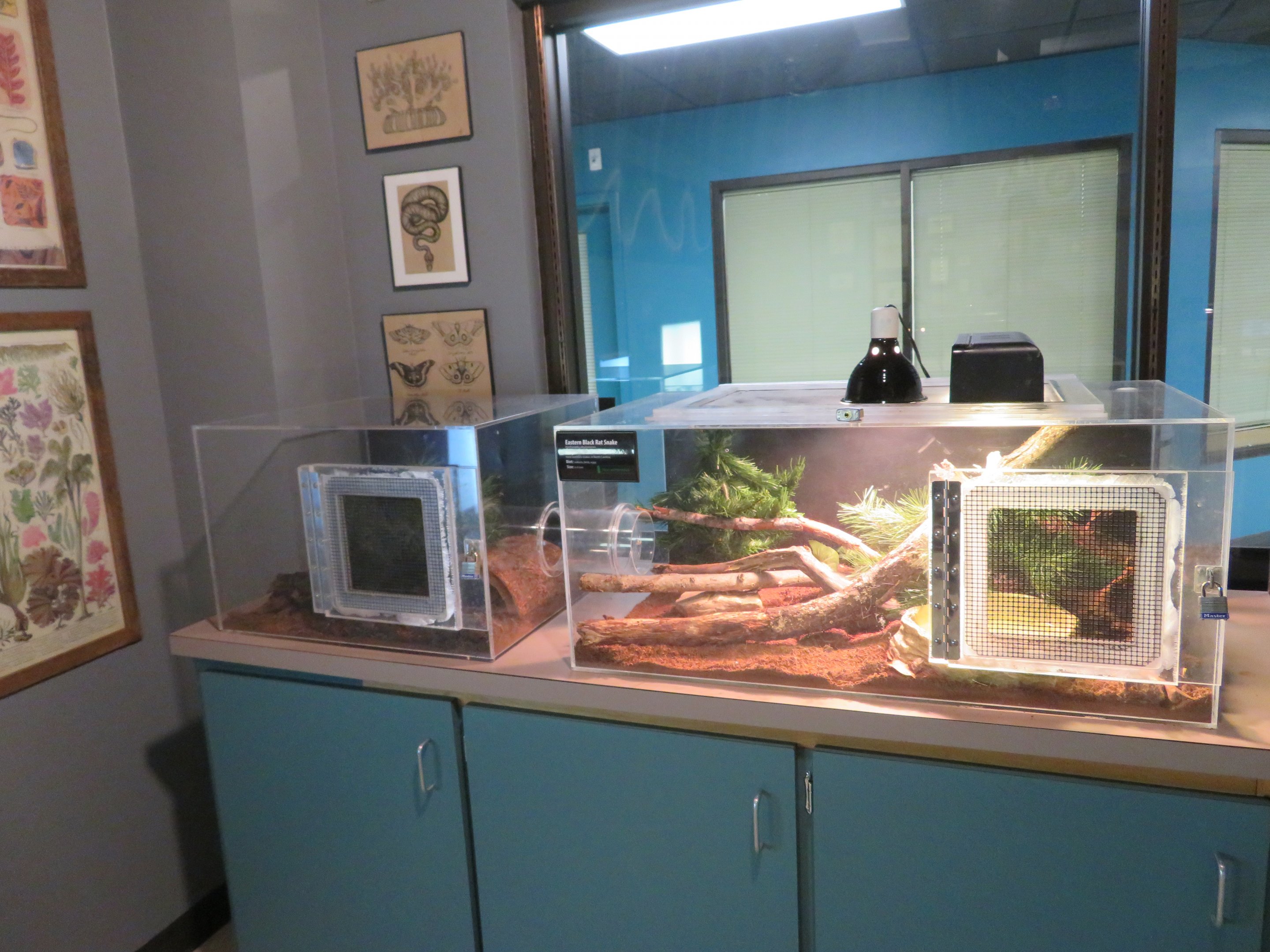 Herpetarium Lab