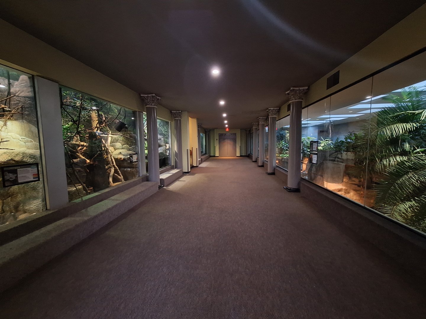 Herpetarium lower level overview