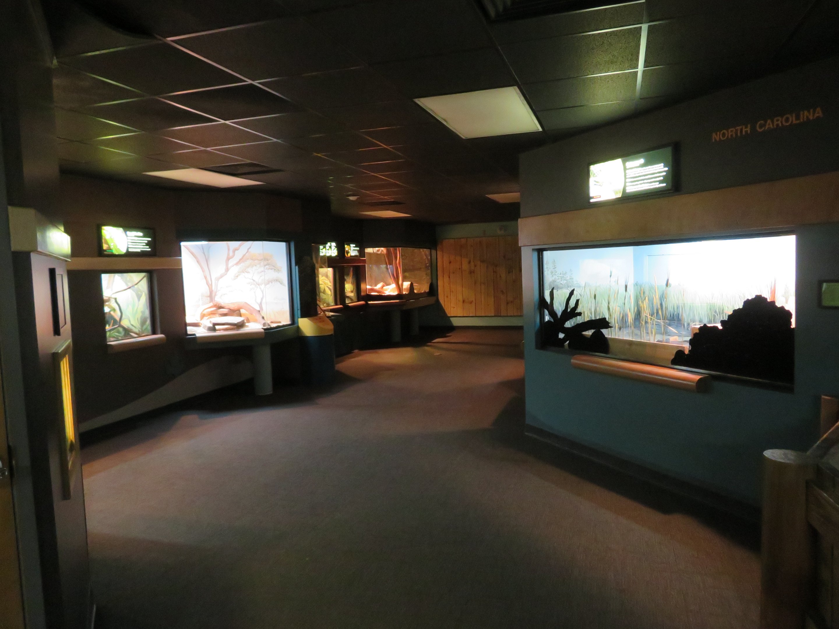 Herpetarium - Main Room