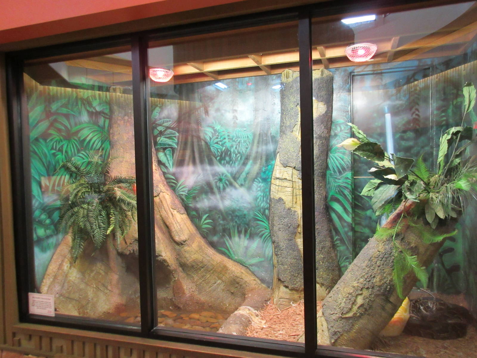 Herpetarium - New in 2009 (Burmese Python Exhibit)