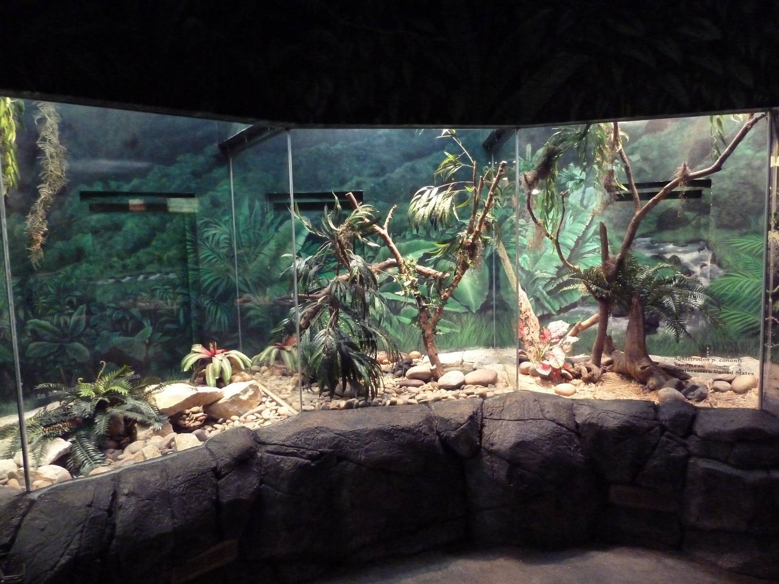 Herpetarium - Venomous Snake Exhibits