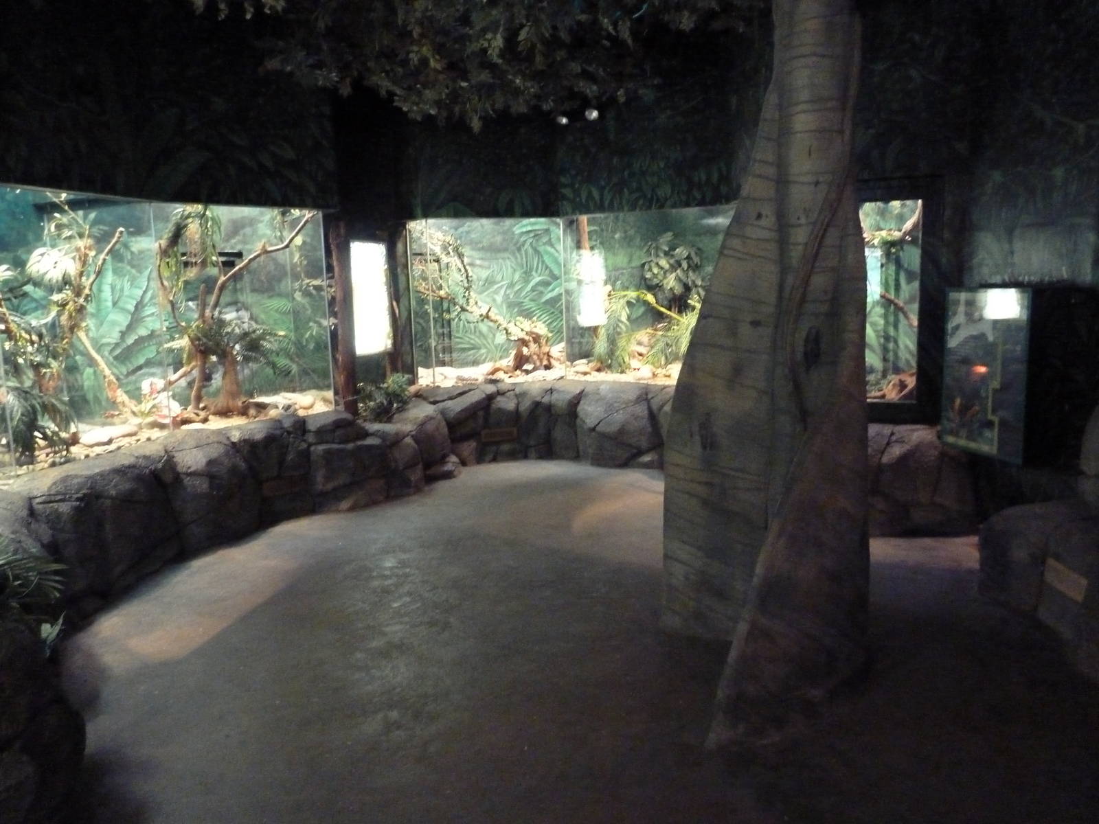Herpetarium - Venomous Snake Exhibits
