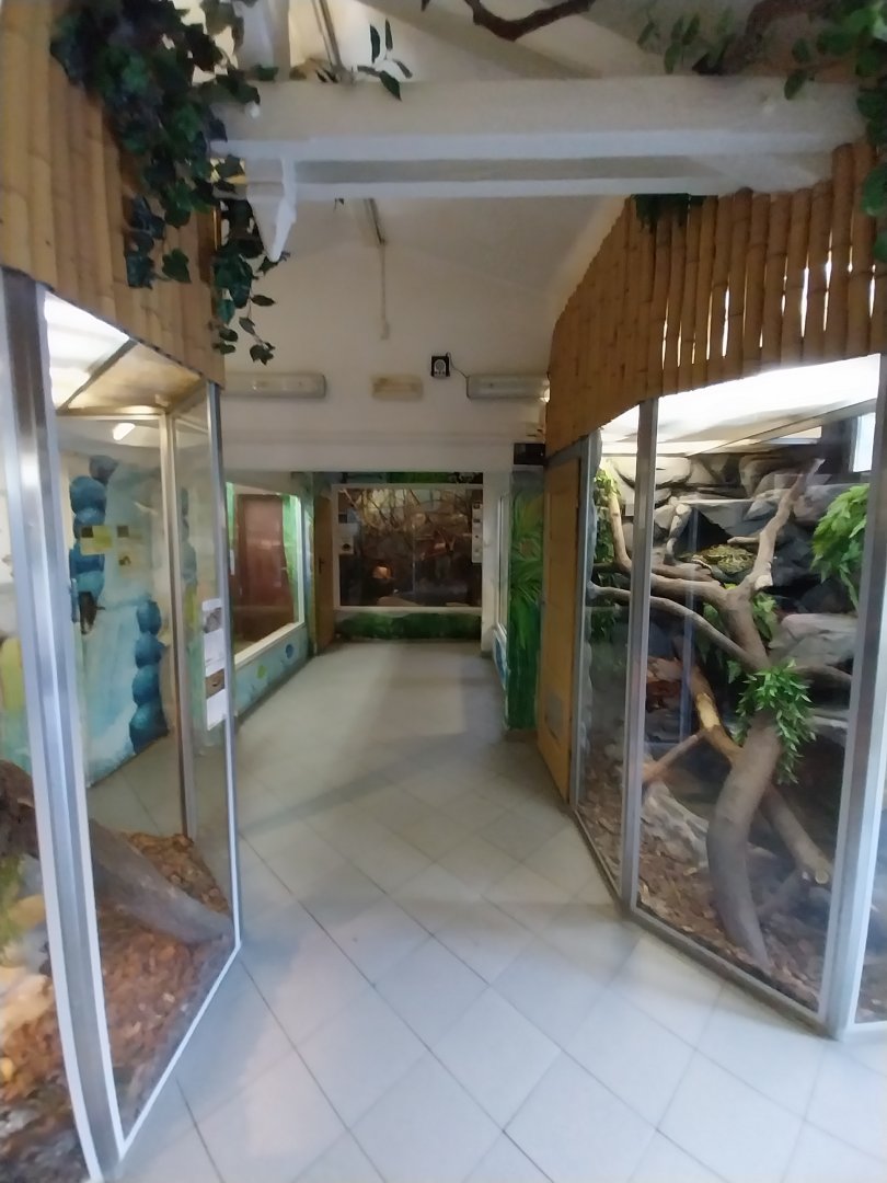 Herpetrium - Second room