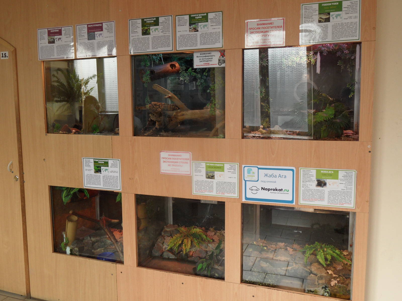 Herps & inverts exhibit