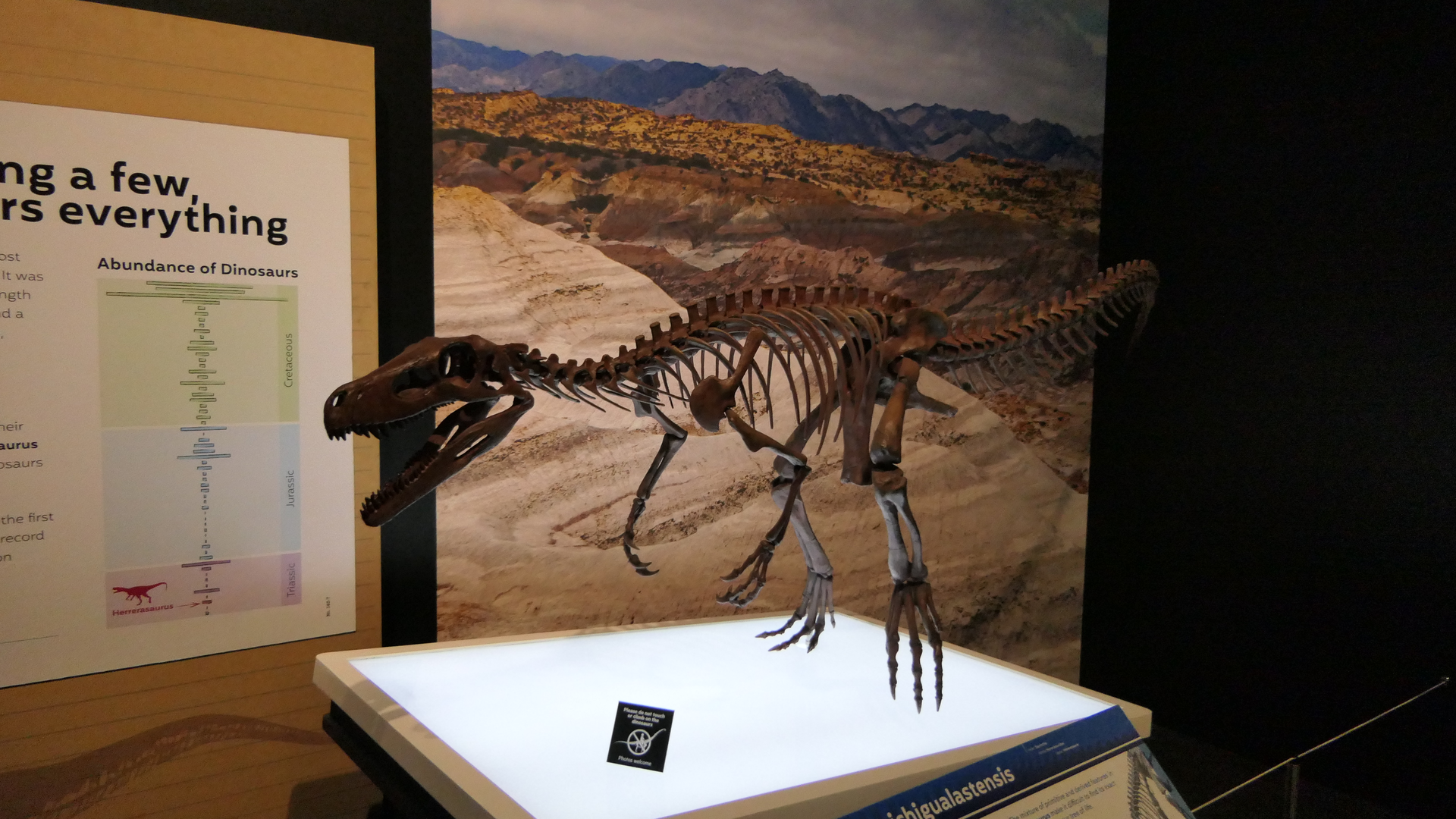 Herrerasaurus ichigualastensis - Dinosaurs of Patagonia