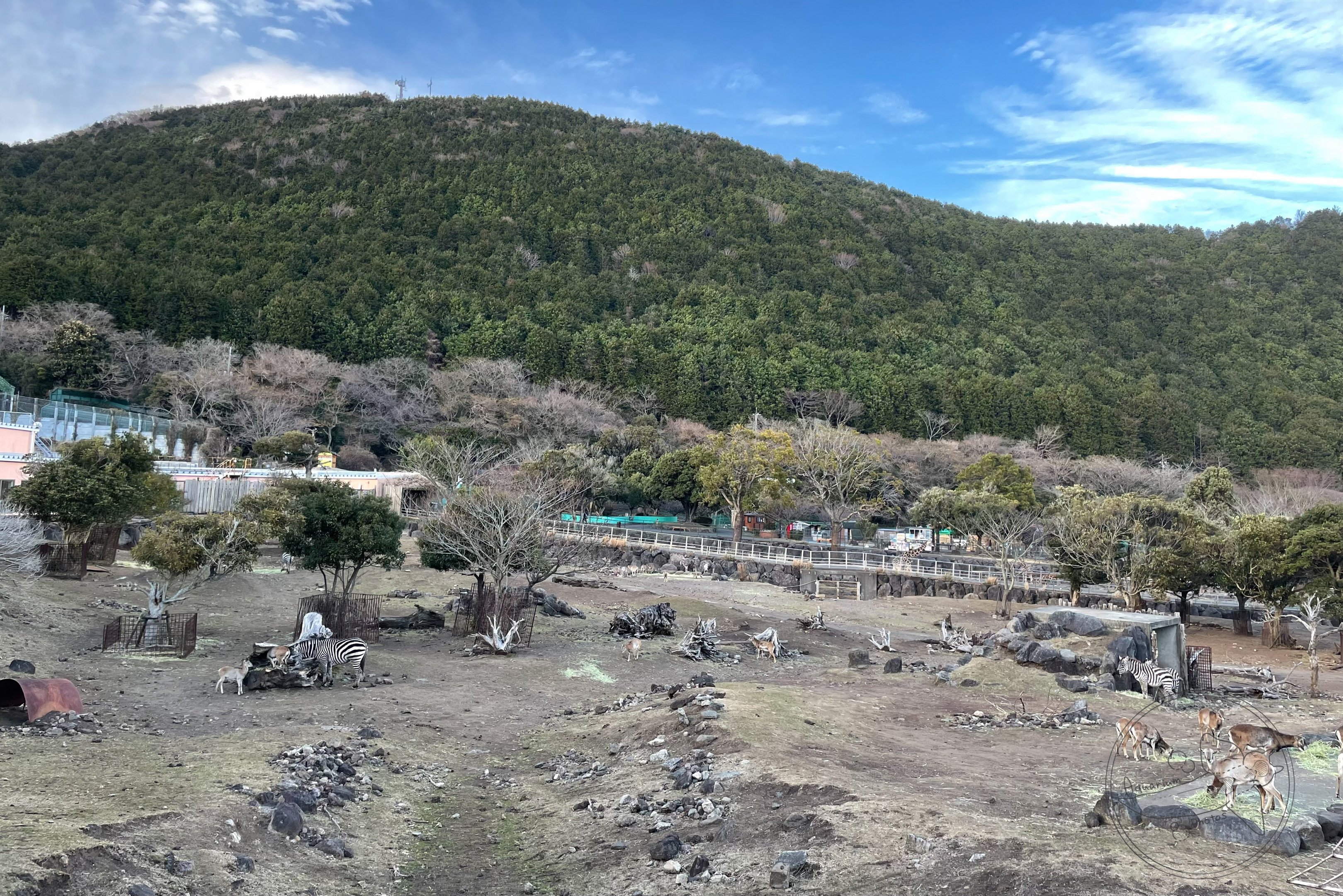 Hervivore Mixed Exhibit