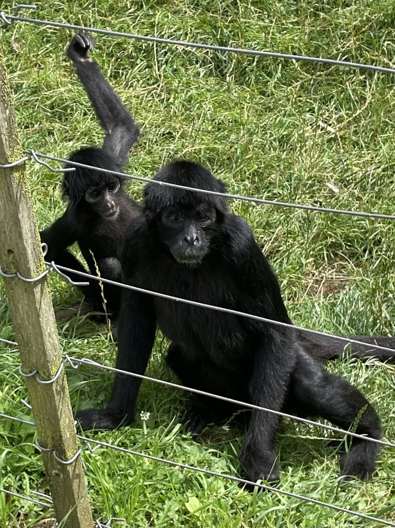 “ He’s right behind me isn’t he”?