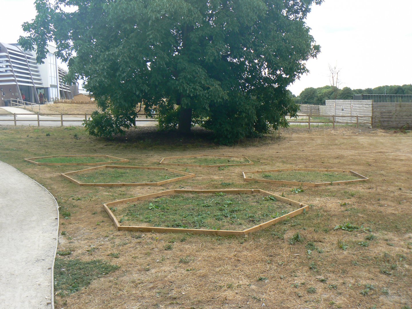 Hexagon exhibit? - 17 July 2018