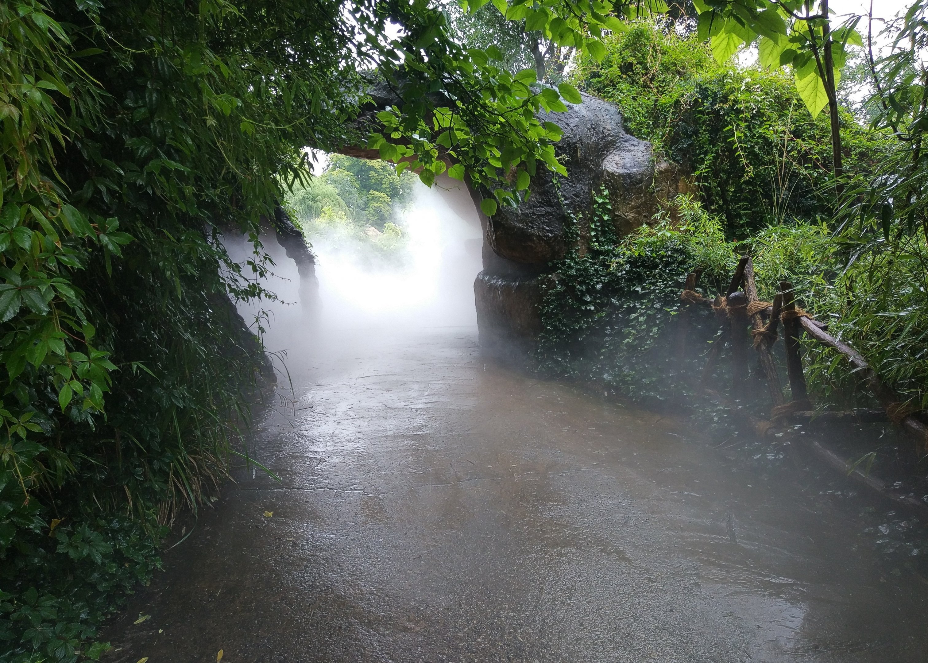 Hey Hannover! I heard you like smoke machines so I got you a smoke machine for your smoke machine.