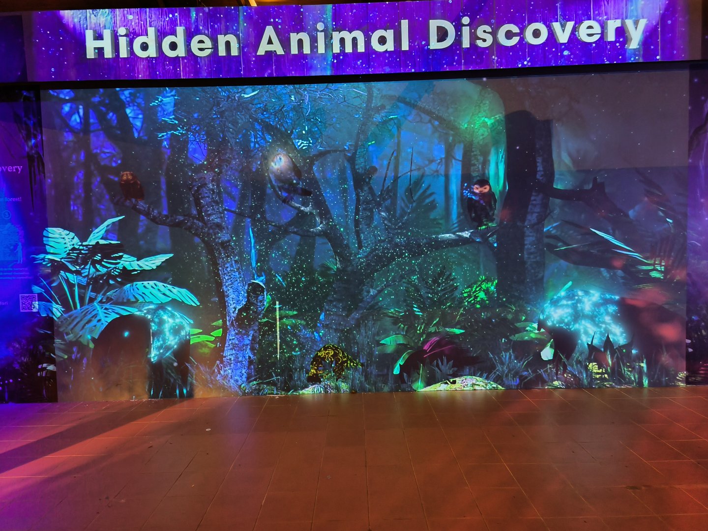 "Hidden Animal Discovery" Secret Wild-erland