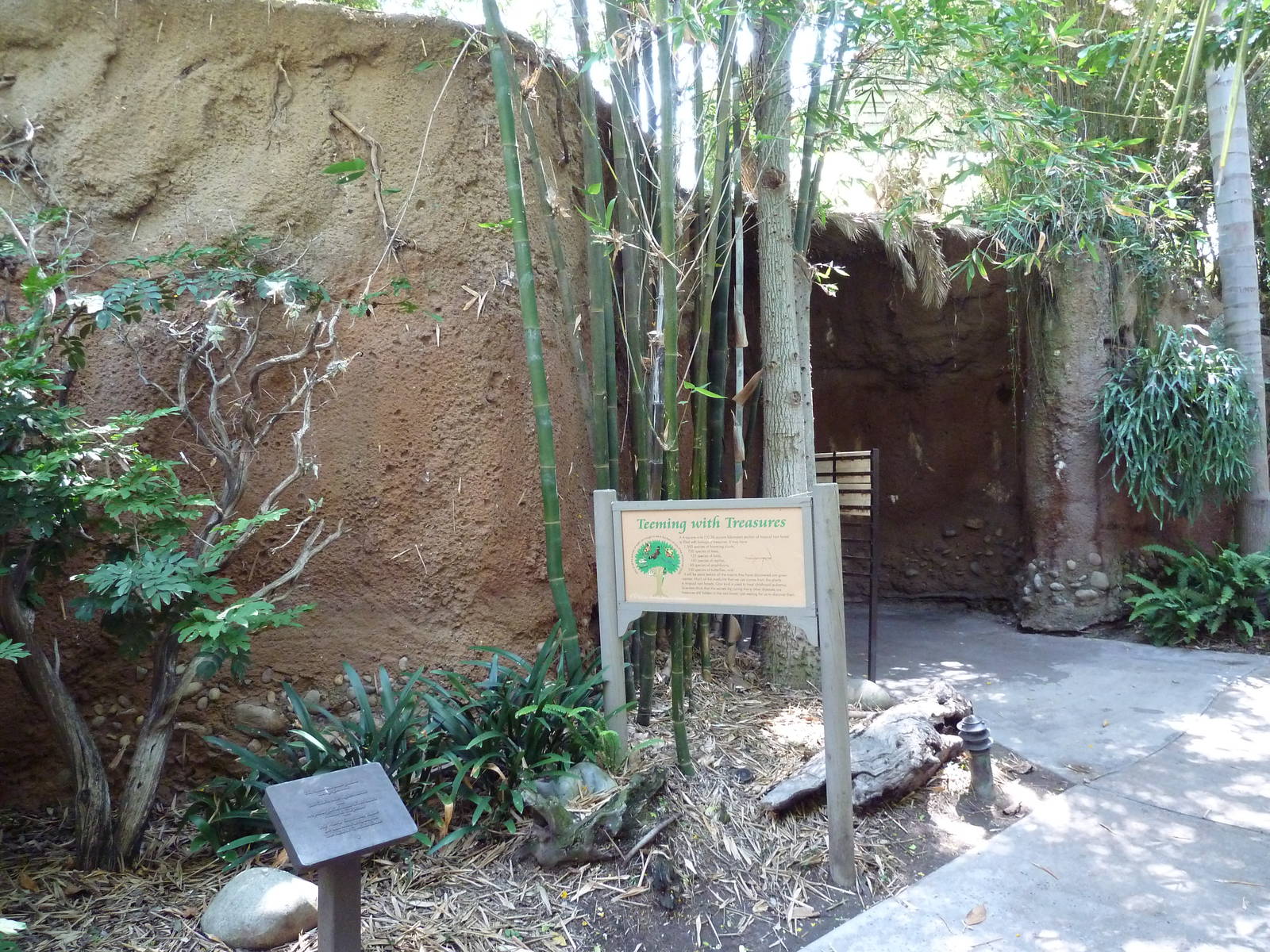 Hidden Jungle - Cave Entrance