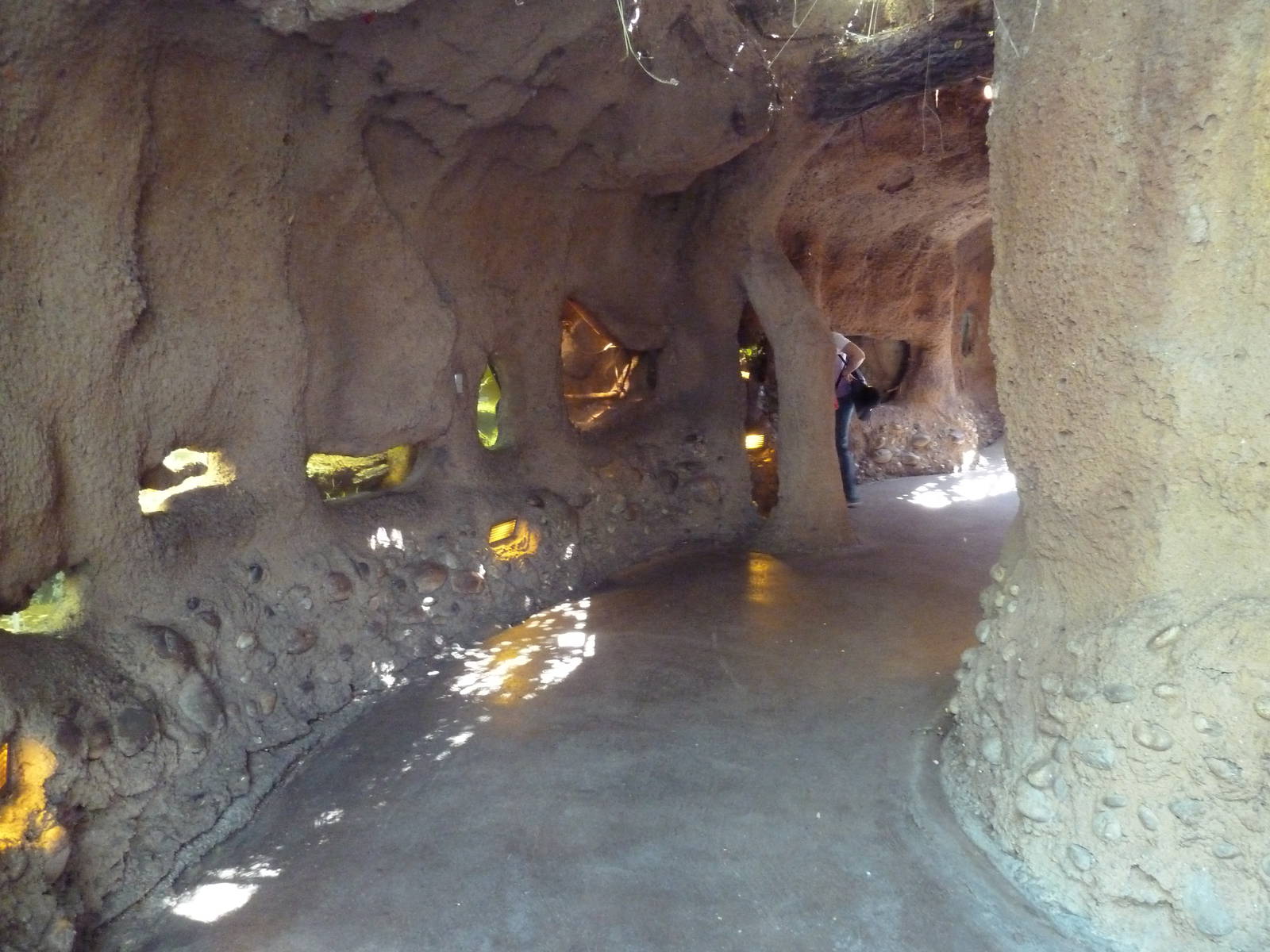 Hidden Jungle - Terrariums