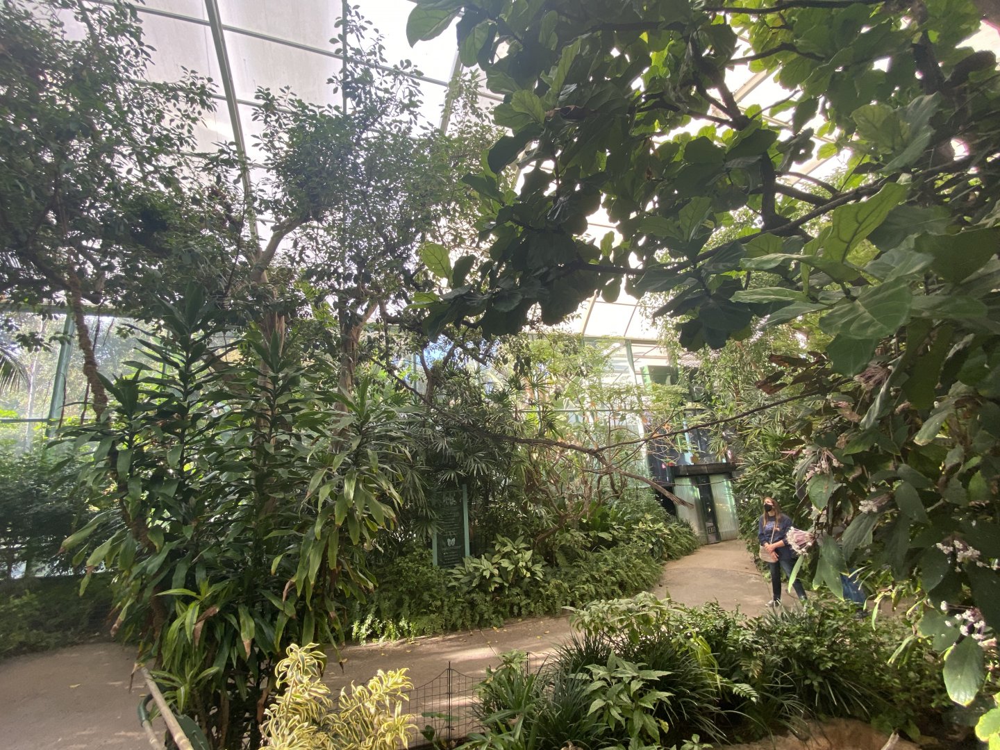 Hidden Jungle Walkthrough Aviary (from another angle)