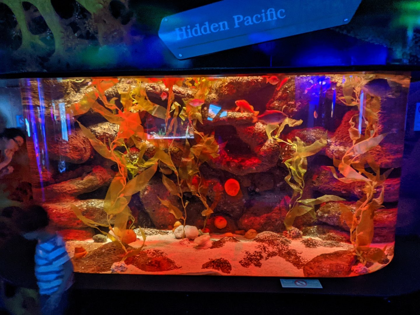 Hidden Pacific tank