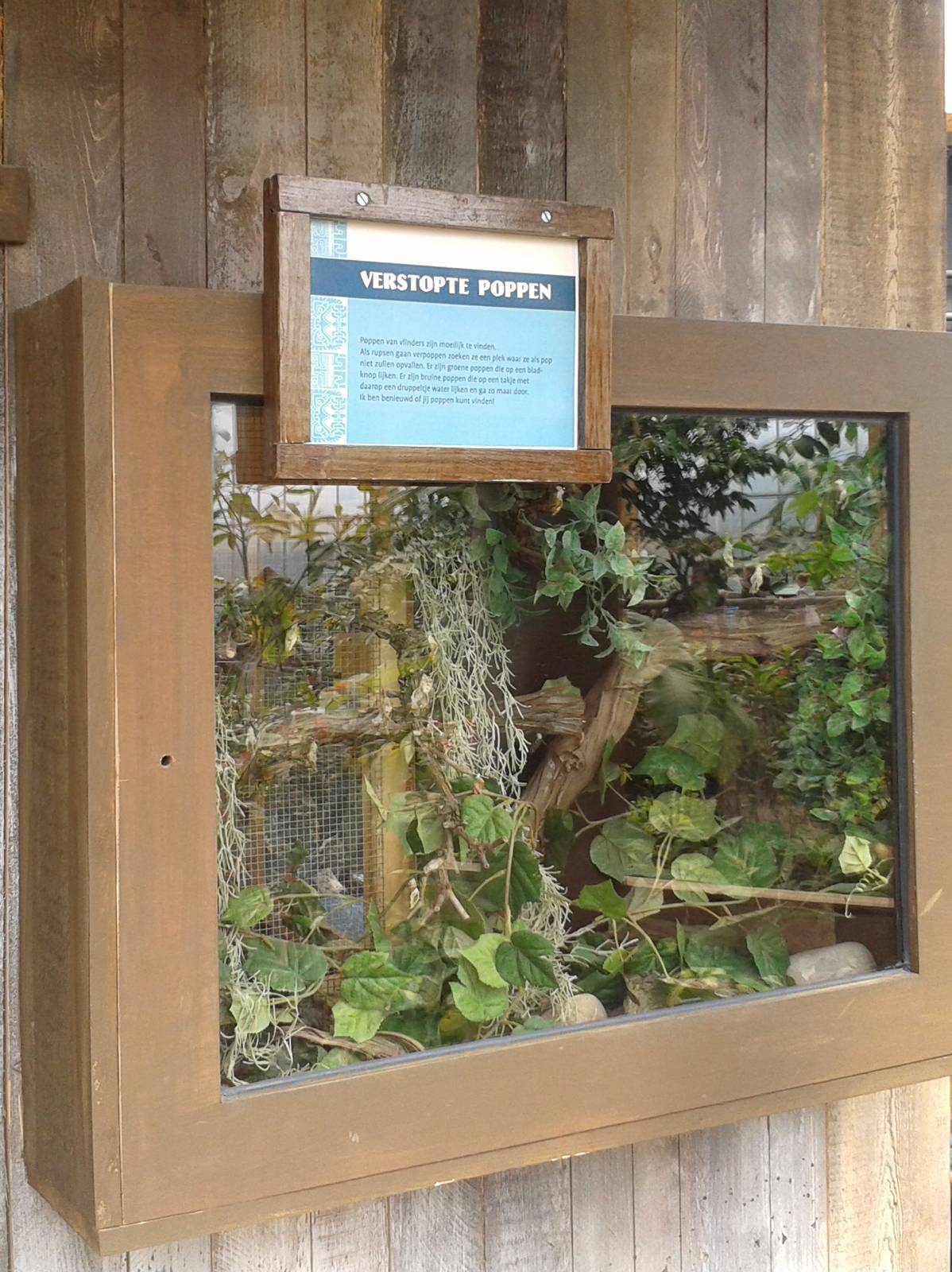 hidden poppua enclosure