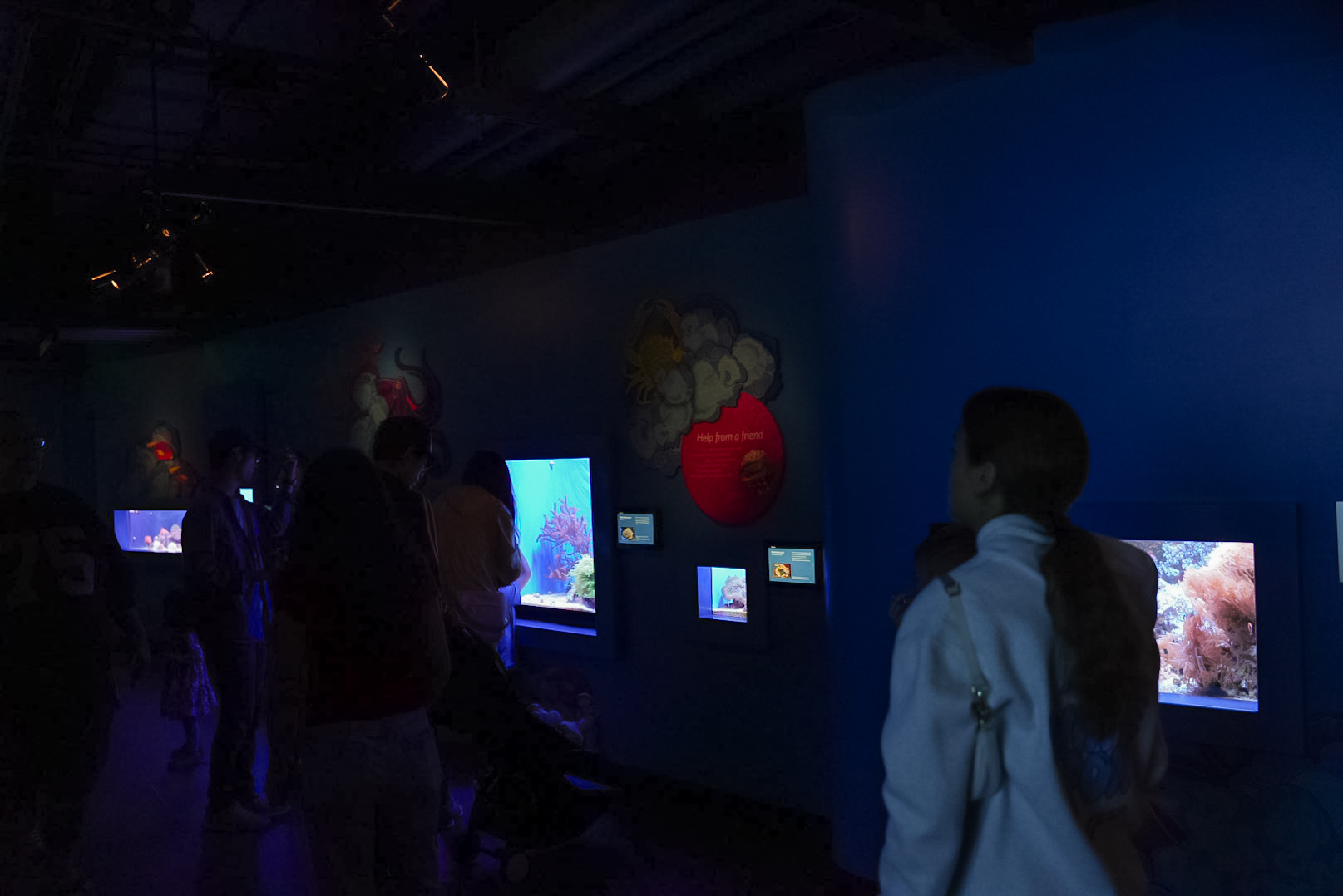 'Hidden Reef' Gallery