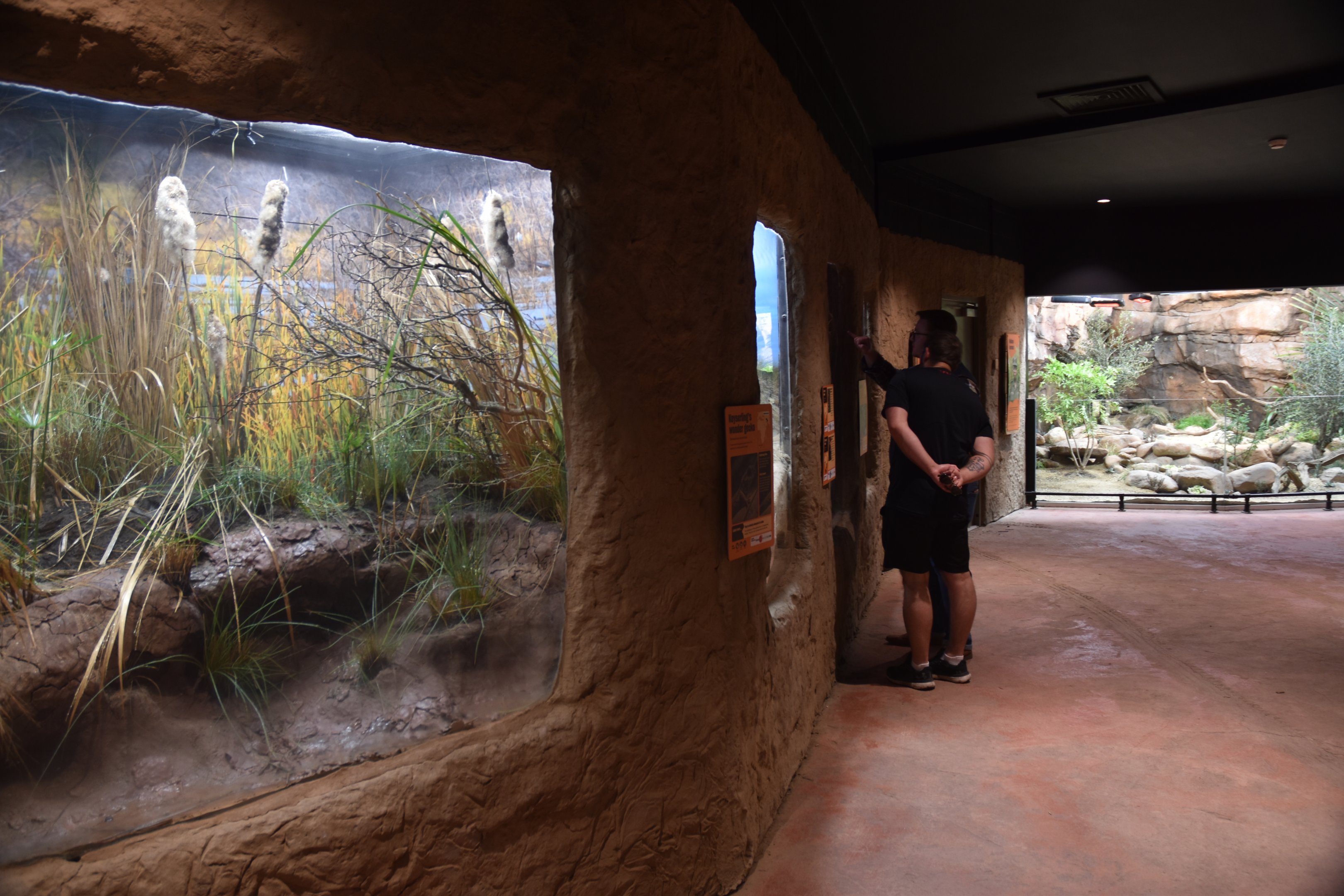 Hidden Savannah, Heart of Africa at Chester, 12th April 2025