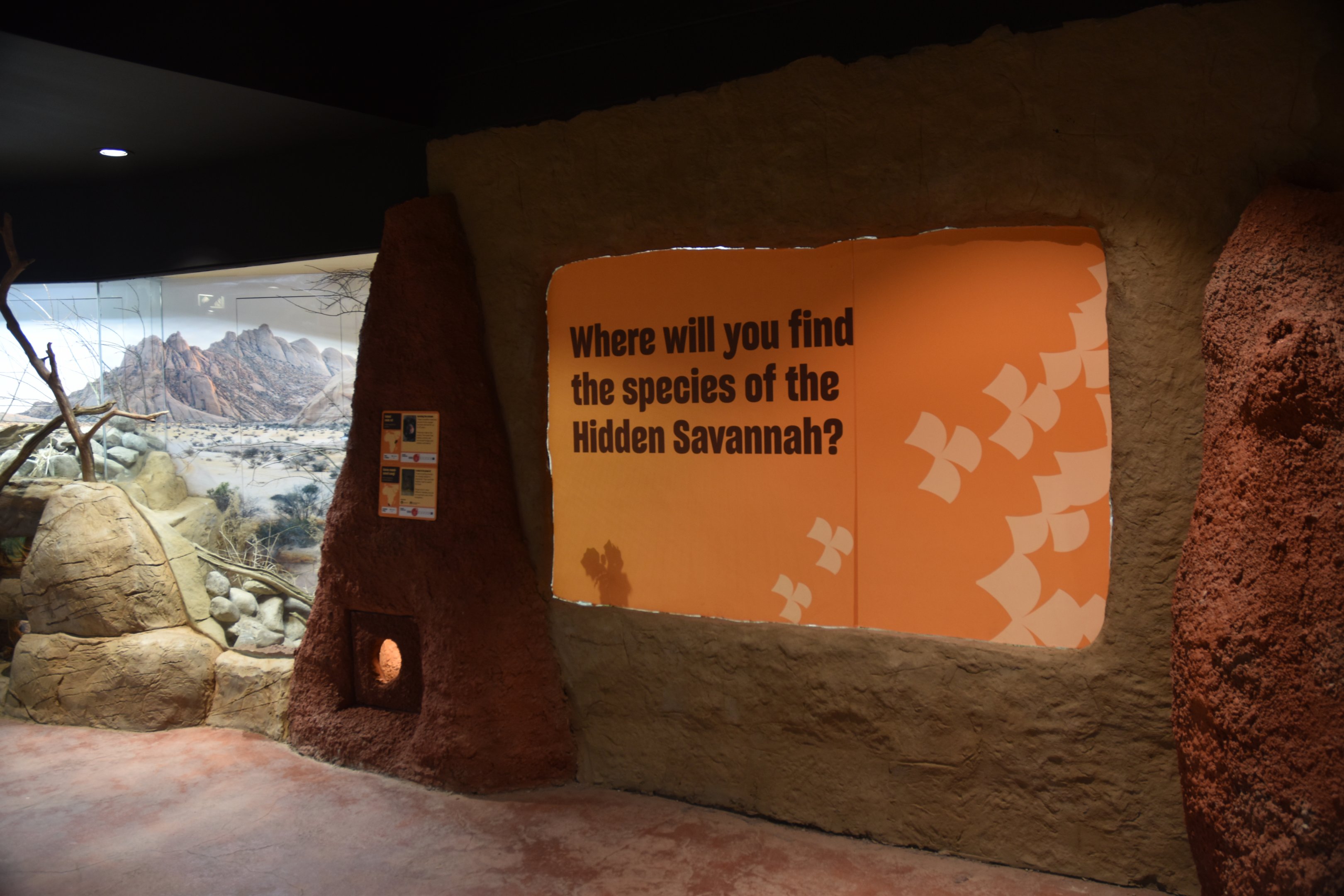 Hidden Savannah, Heart of Africa at Chester, 12th April 2025