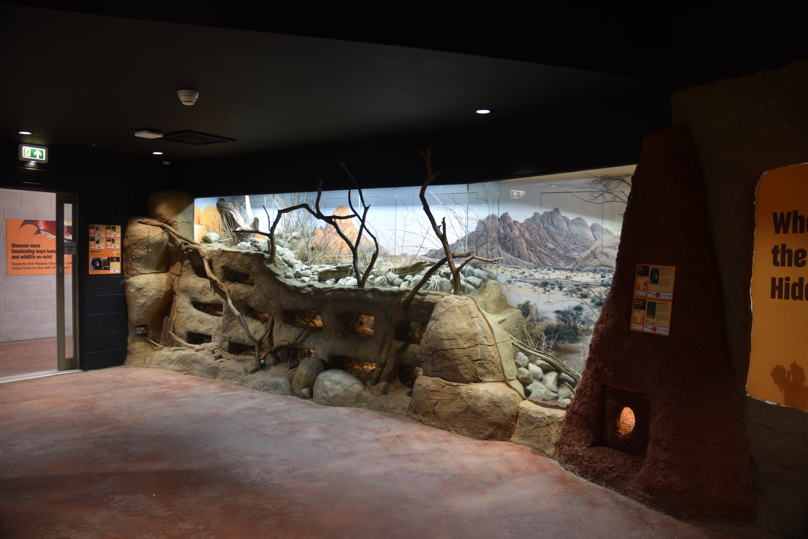 Hidden Savannah, Heart of Africa at Chester, 12th April 2025