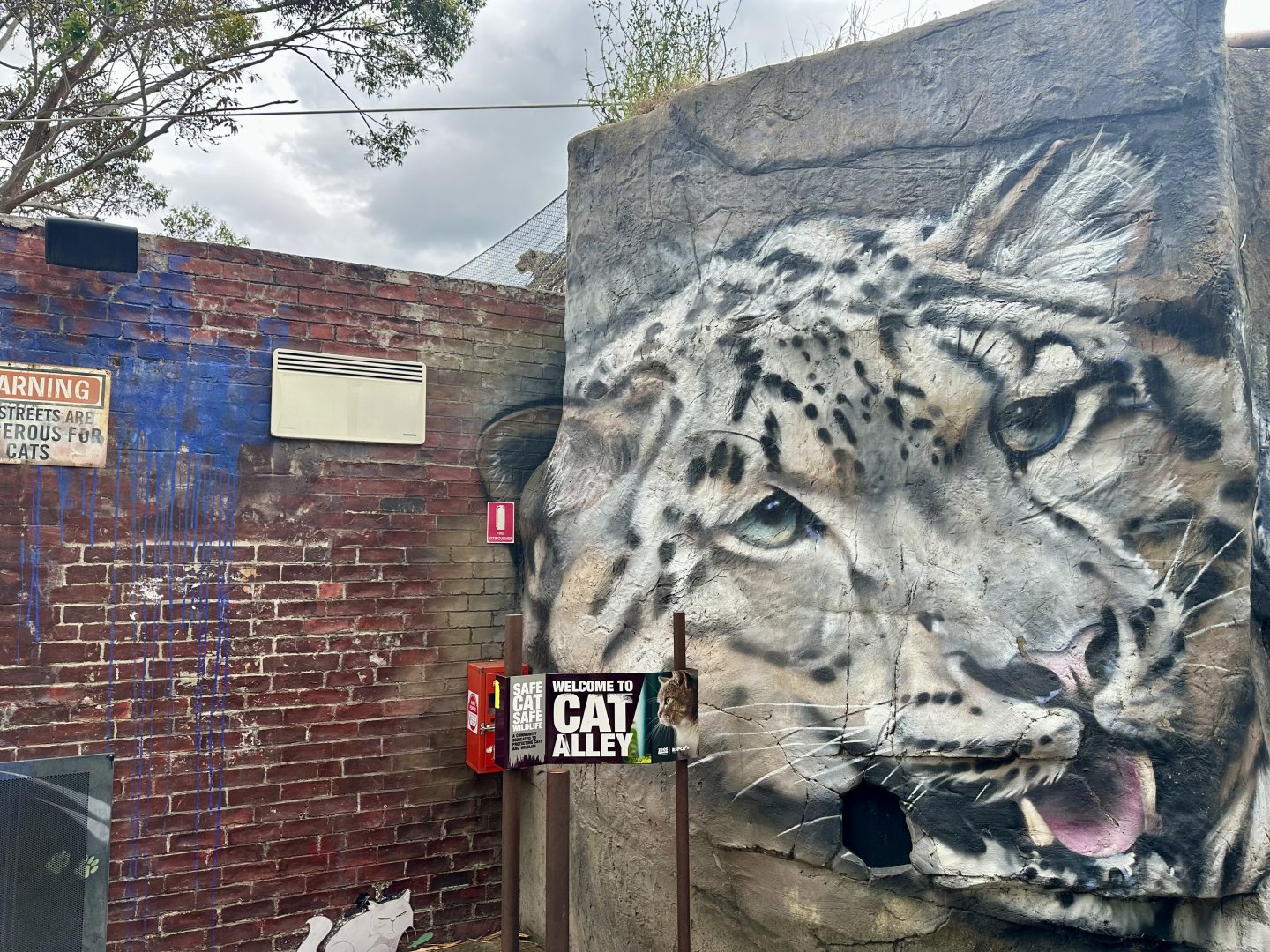 Hidden Snow Leopard (Zoom In)