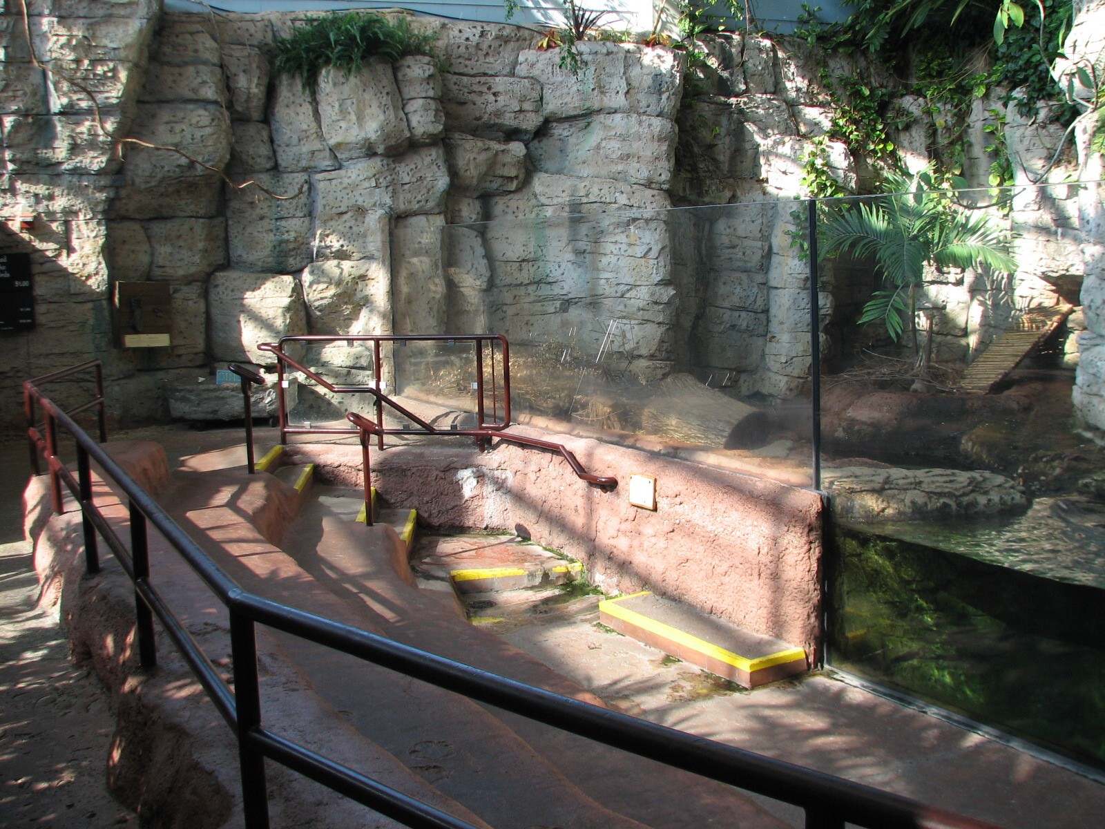 Hidden Treasures Rainforest - Asian Otter Exhibit