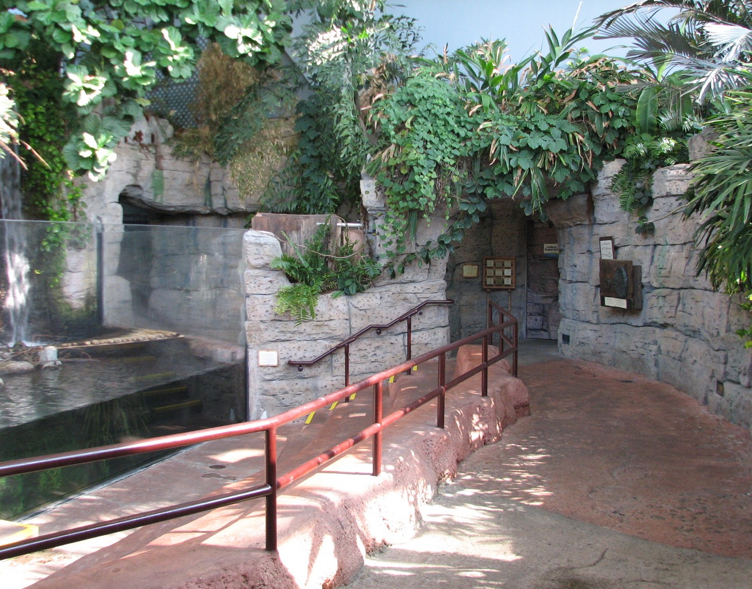 Hidden Treasures Rainforest - Asian Otter Exhibit