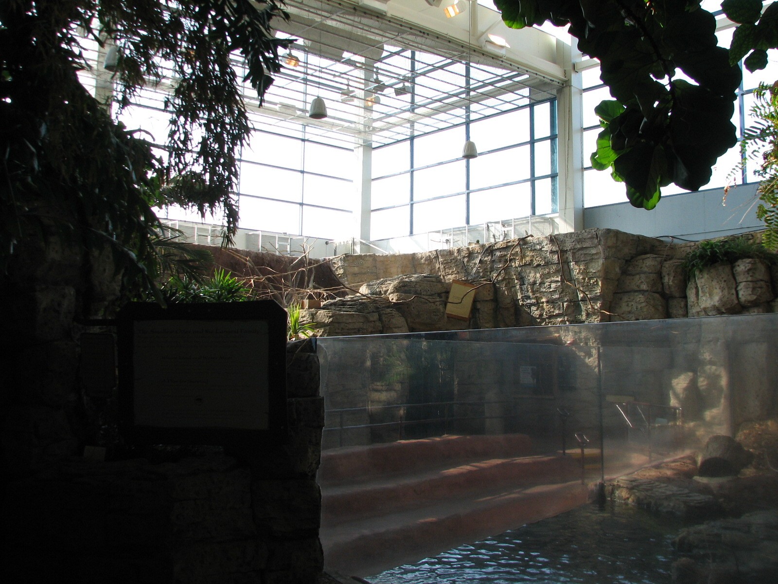 Hidden Treasures Rainforest - Atrium