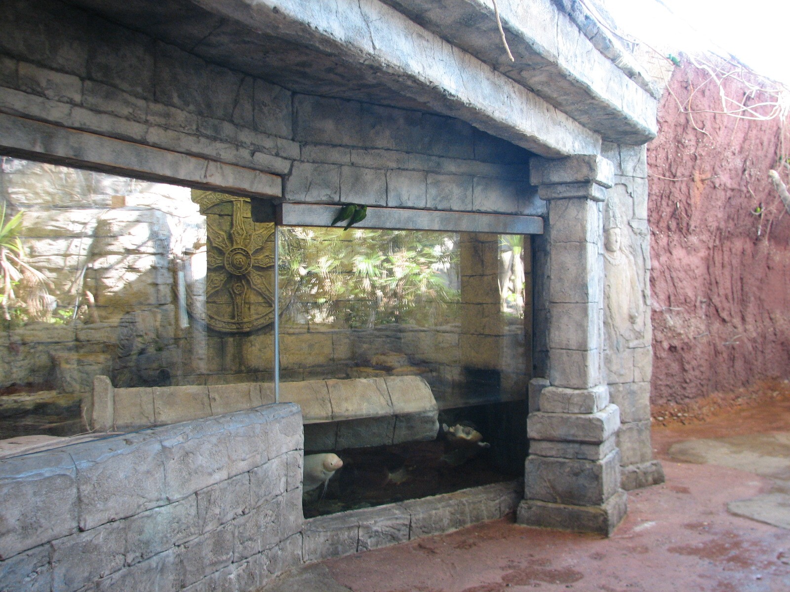 Hidden Treasures Rainforest - Lorikeet Aviary and Python Exhibit