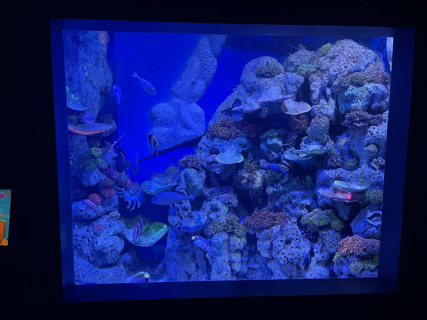 hide & seek exhibit - BX Sea
